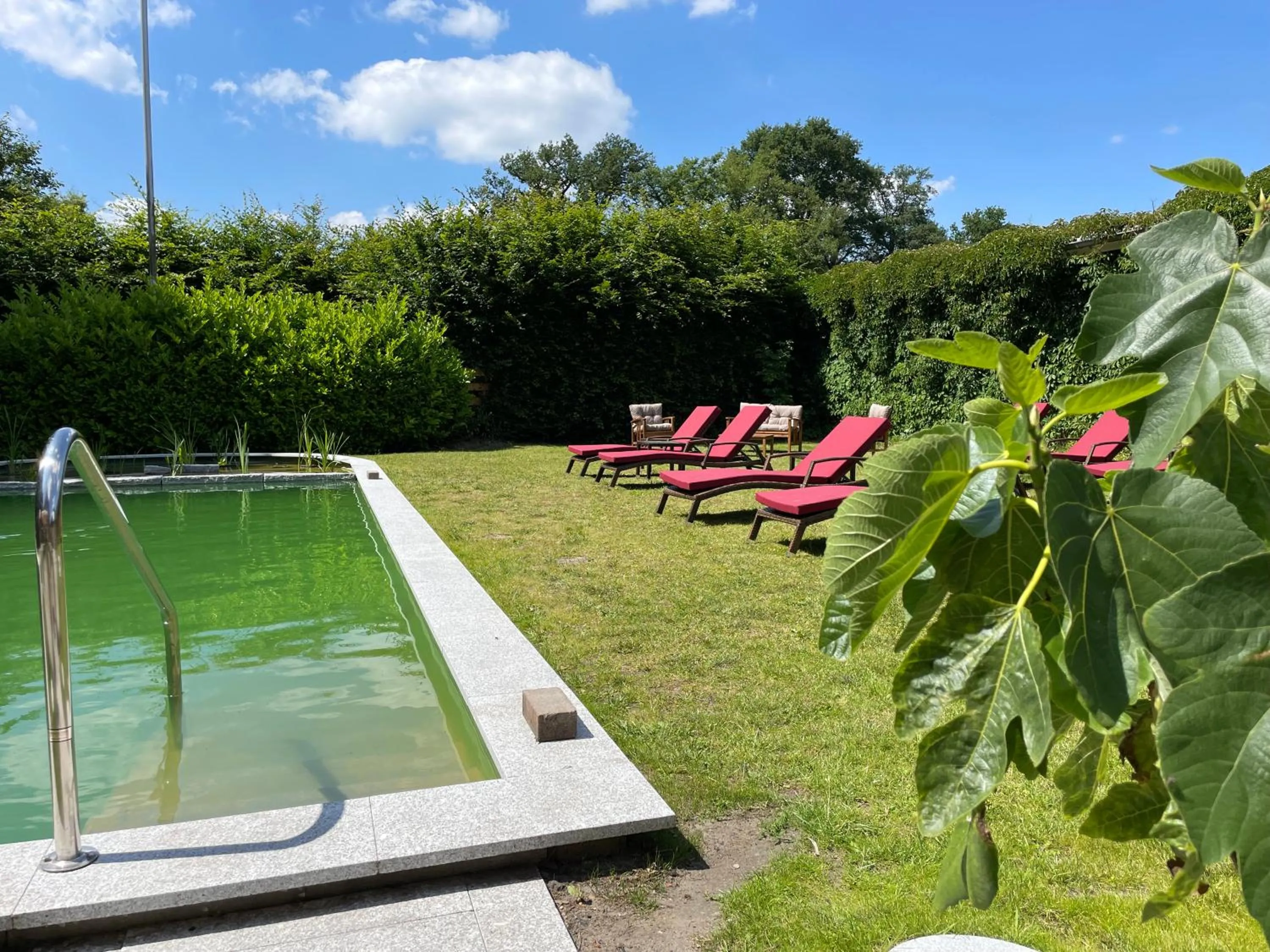 Swimming pool in dS Hotel Gronau