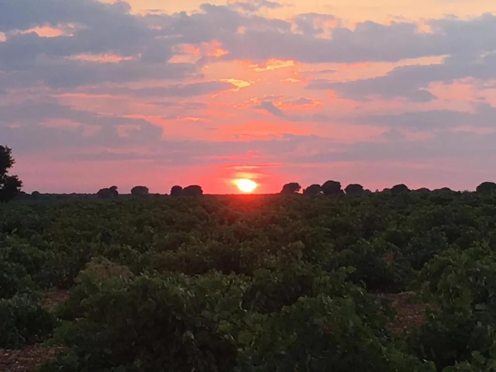Natural landscape in Casa Rural La Navarra