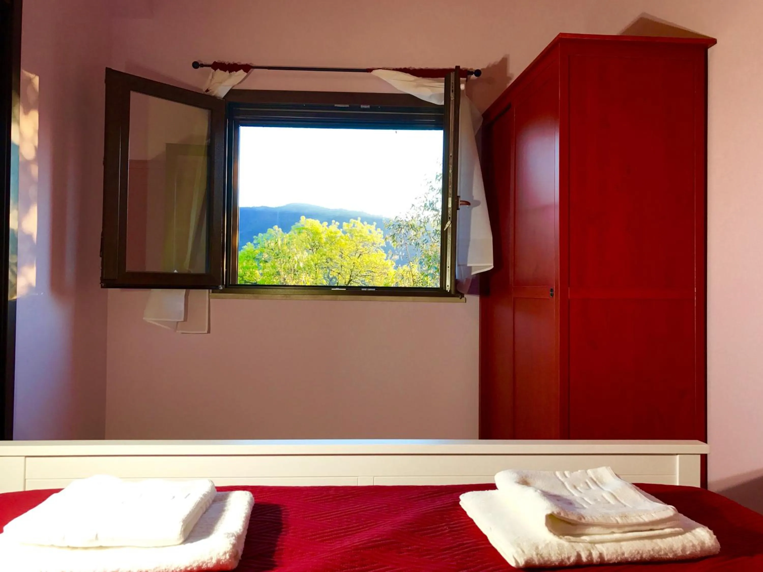 View (from property/room) in Cuore Della Valle