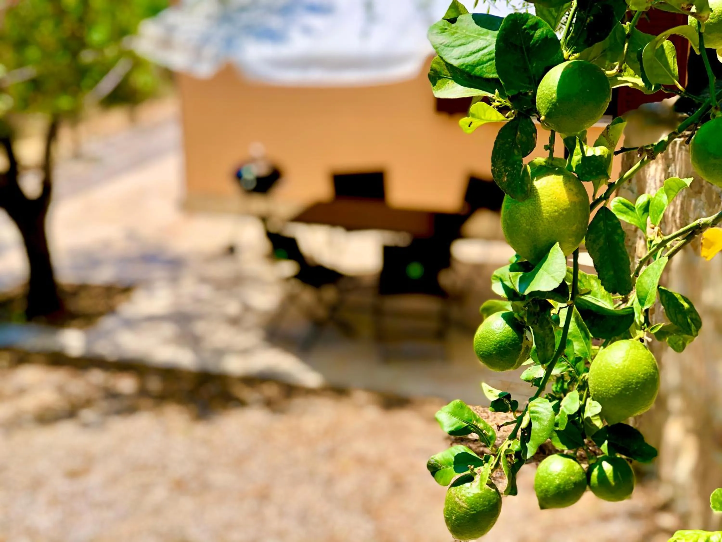 Patio in Cuore Della Valle