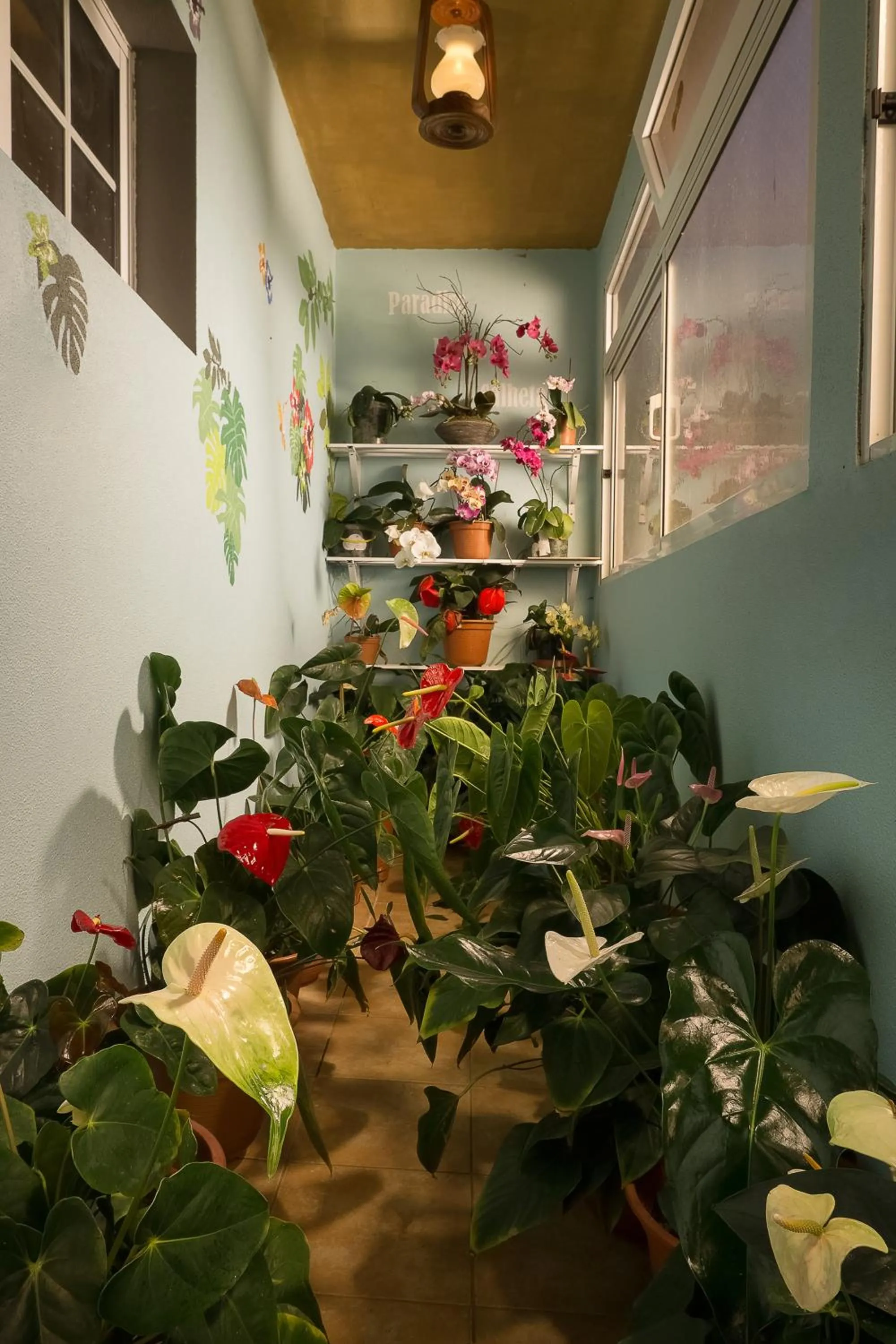 Garden in Paradise House Calheta