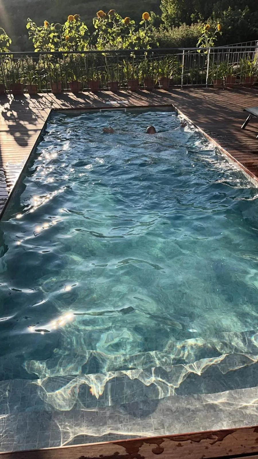 Swimming pool in Paradise House Calheta