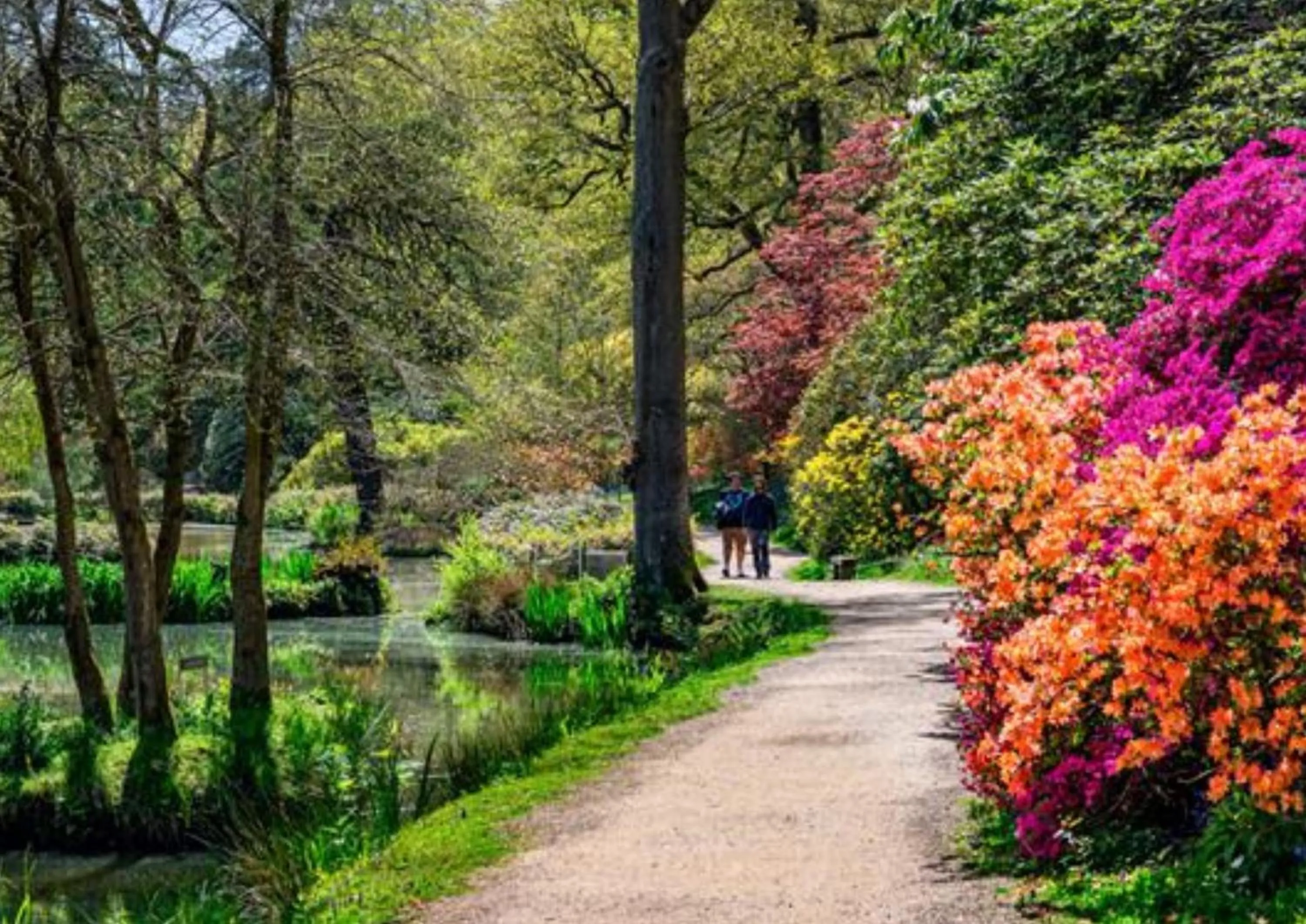 Nearby landmark in Holiday Inn London Gatwick - Worth by IHG