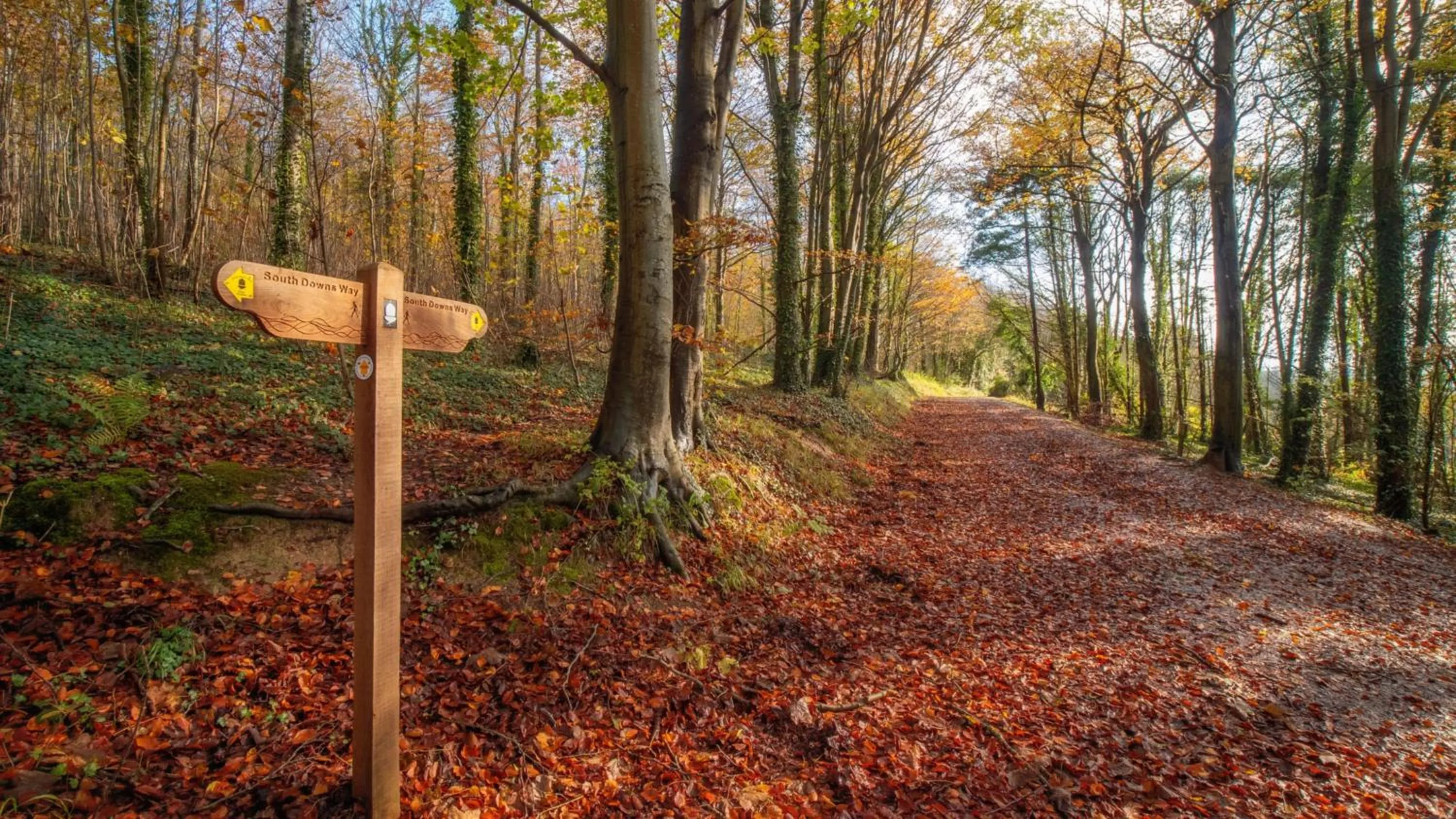 Nearby landmark in Holiday Inn London Gatwick - Worth by IHG