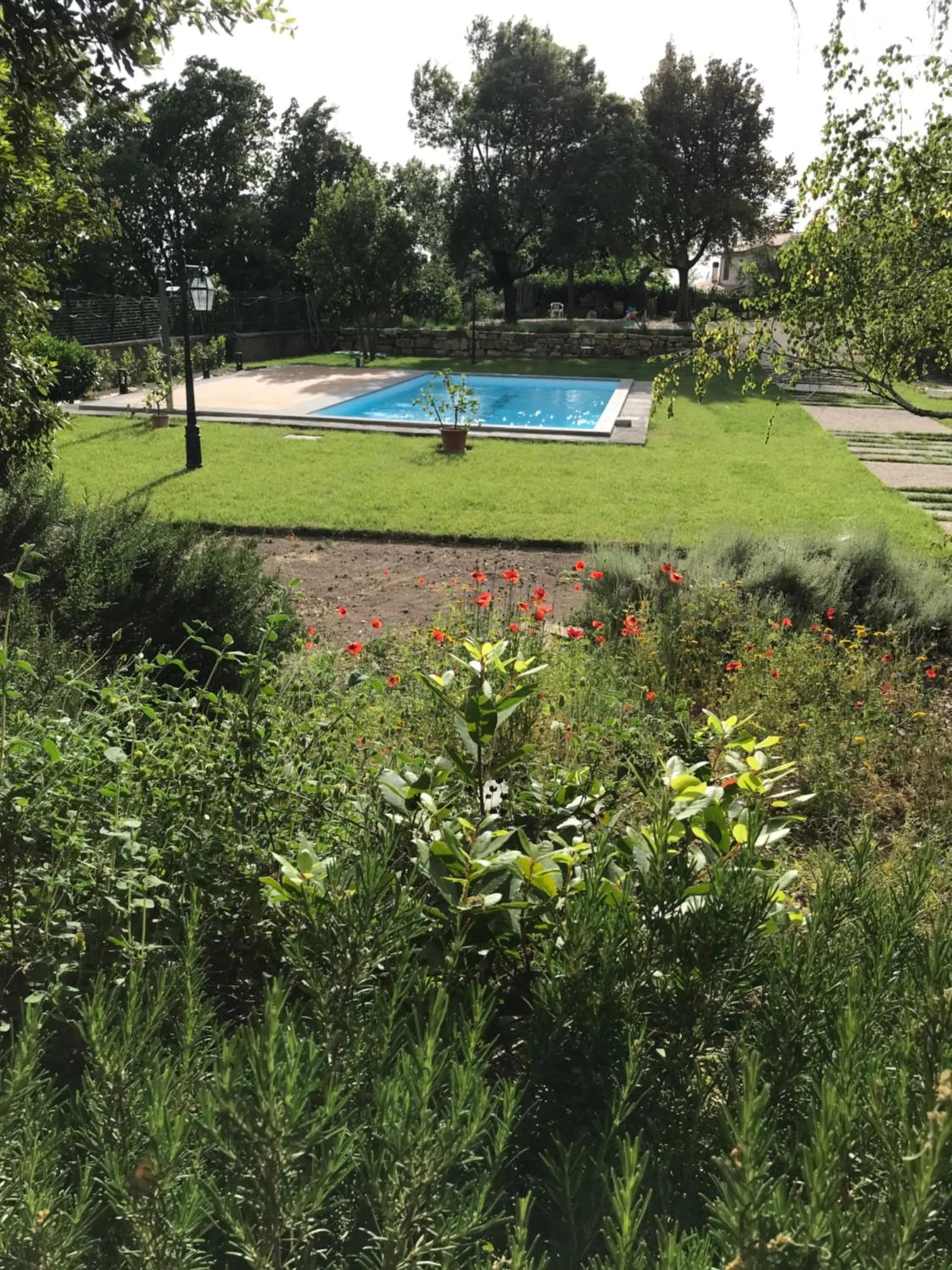 Swimming pool in La Paloma B&B di Charme