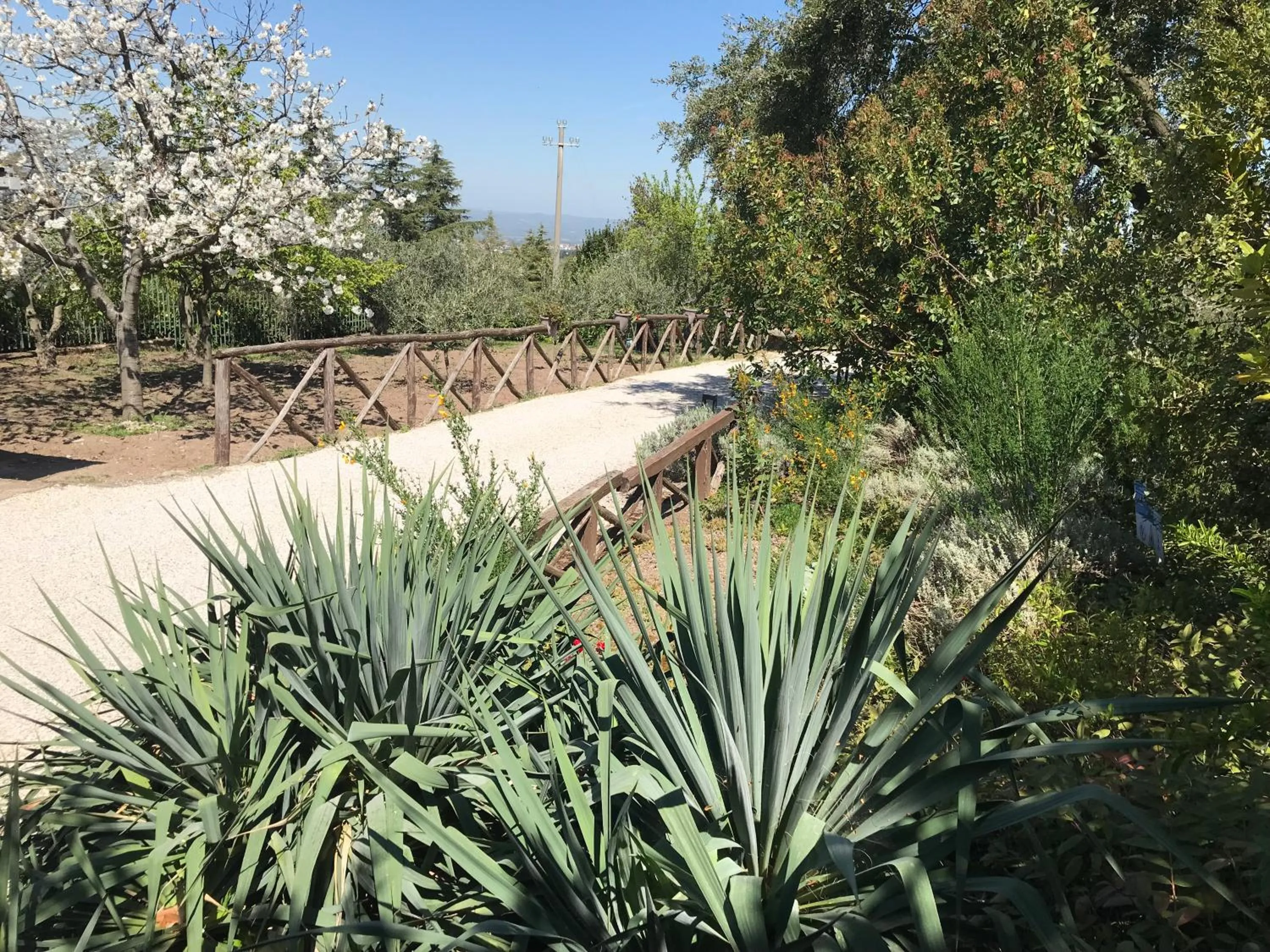 Garden view in La Paloma B&B di Charme