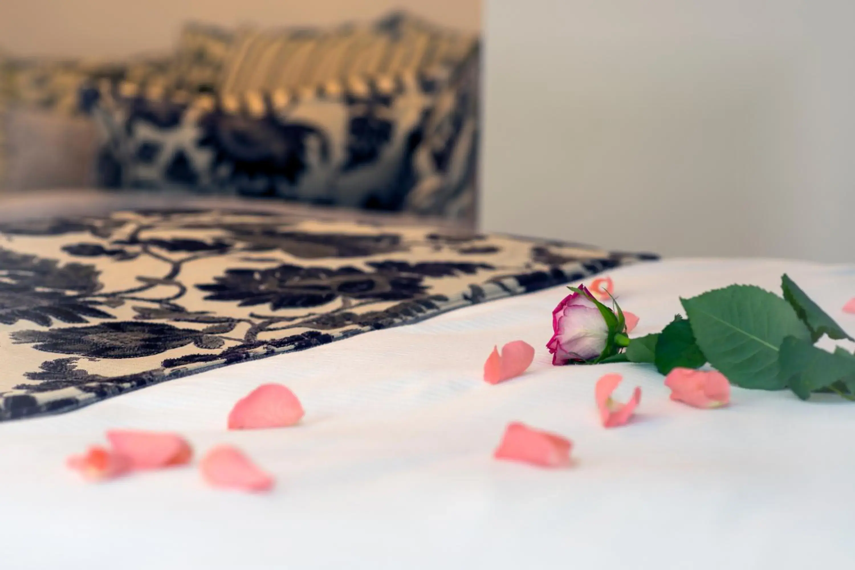 Bed in Treacys West County Conference and Leisure Centre Bed in Treacys West County Conference and Leisure Centre