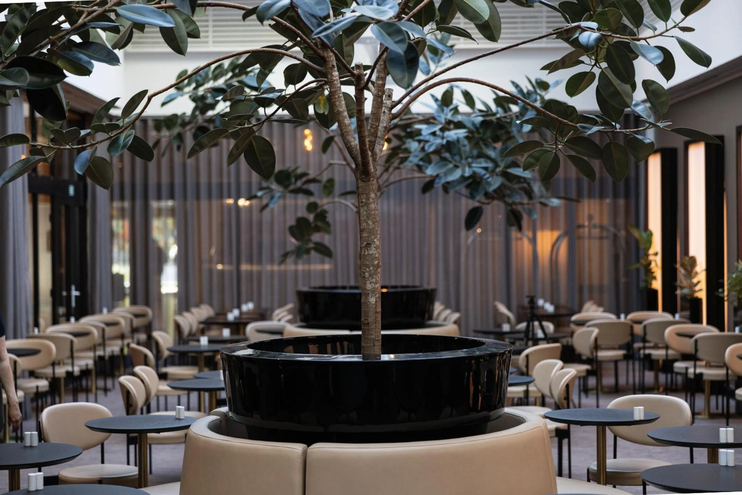 Restaurant/places to eat in Imperial Hotel