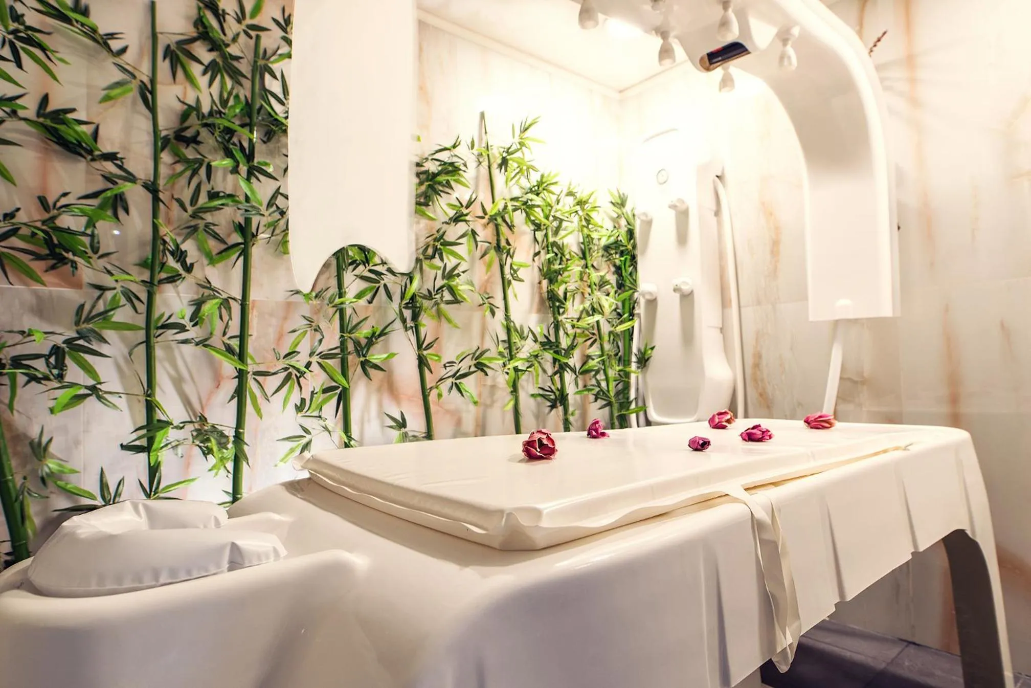 Spa and wellness centre/facilities in ECO Therma Village - Mineral Pool & SPA & All Inclusive