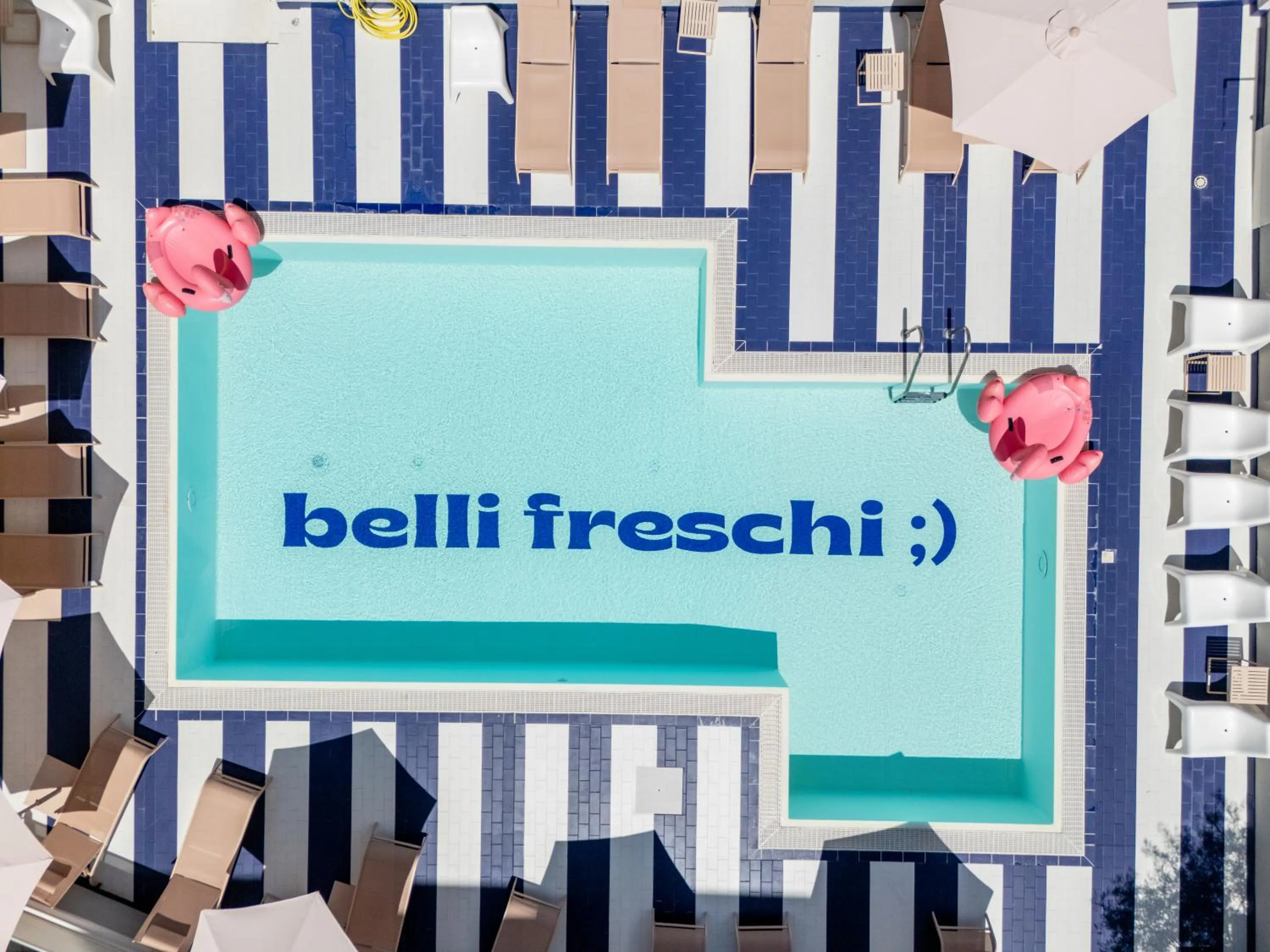 Logo/Certificate/Sign in Hotel Belvedere Rimini