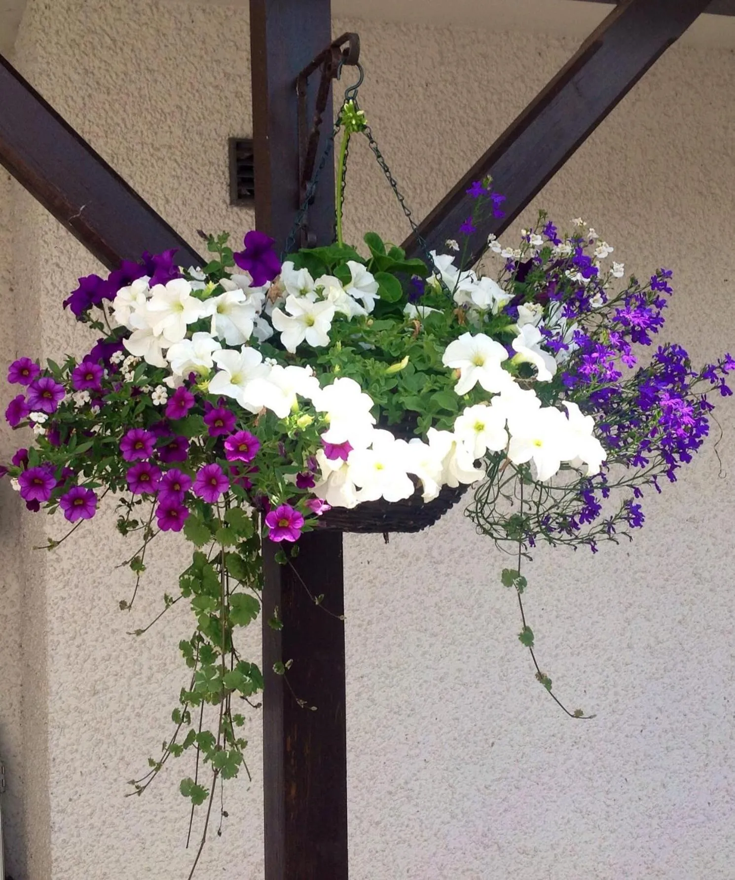 Garden in Anchor Inn