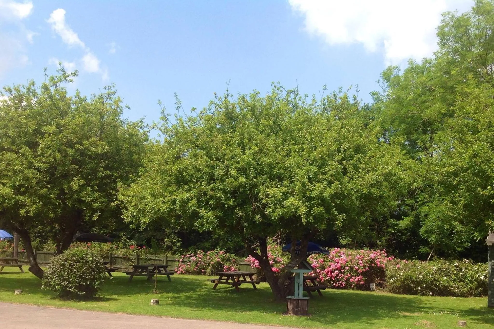 Garden in Anchor Inn