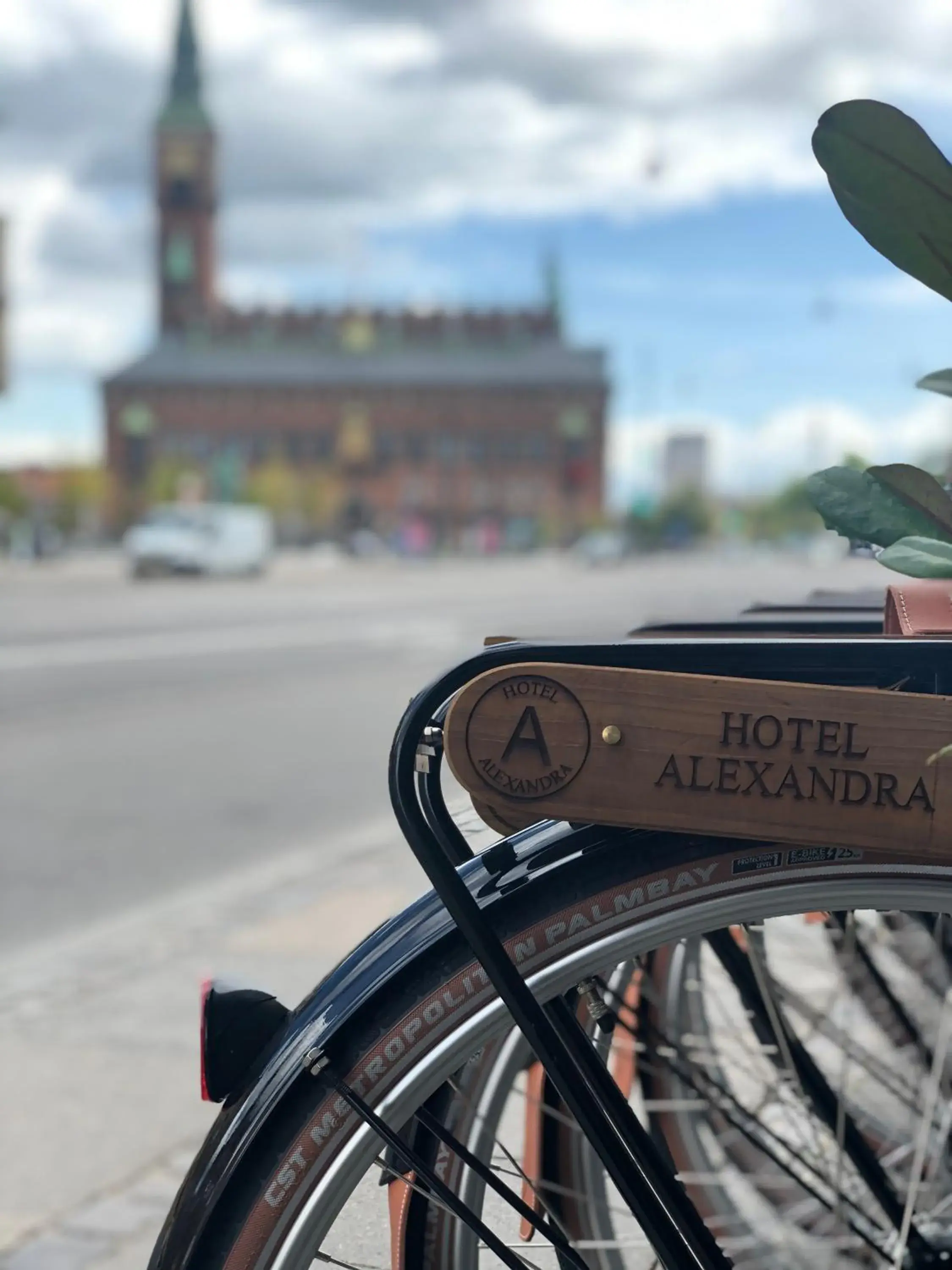 Facade/entrance in Hotel Alexandra Facade/entrance in Hotel Alexandra