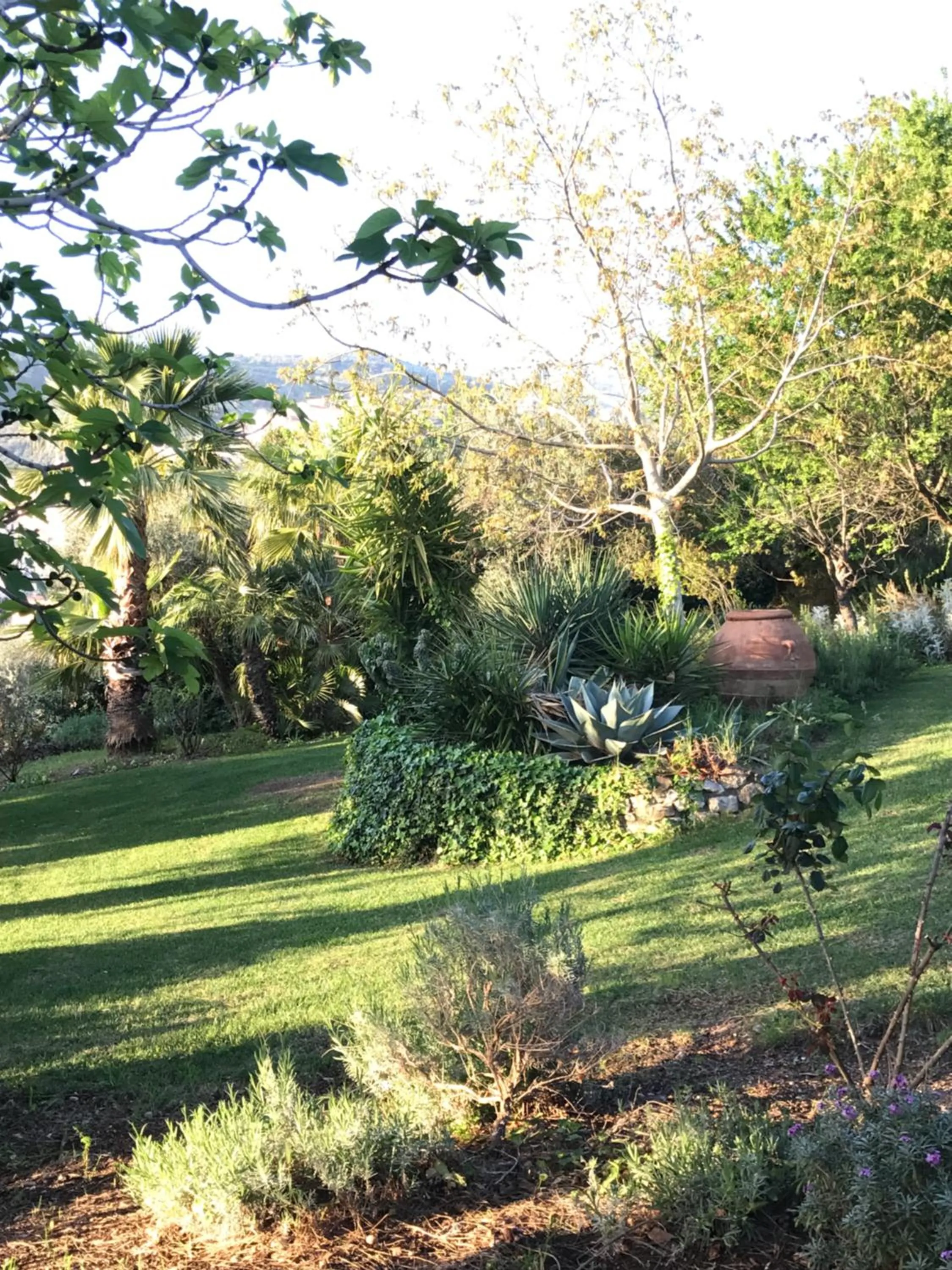 Garden in Agriturismo Castello Santa Margherita
