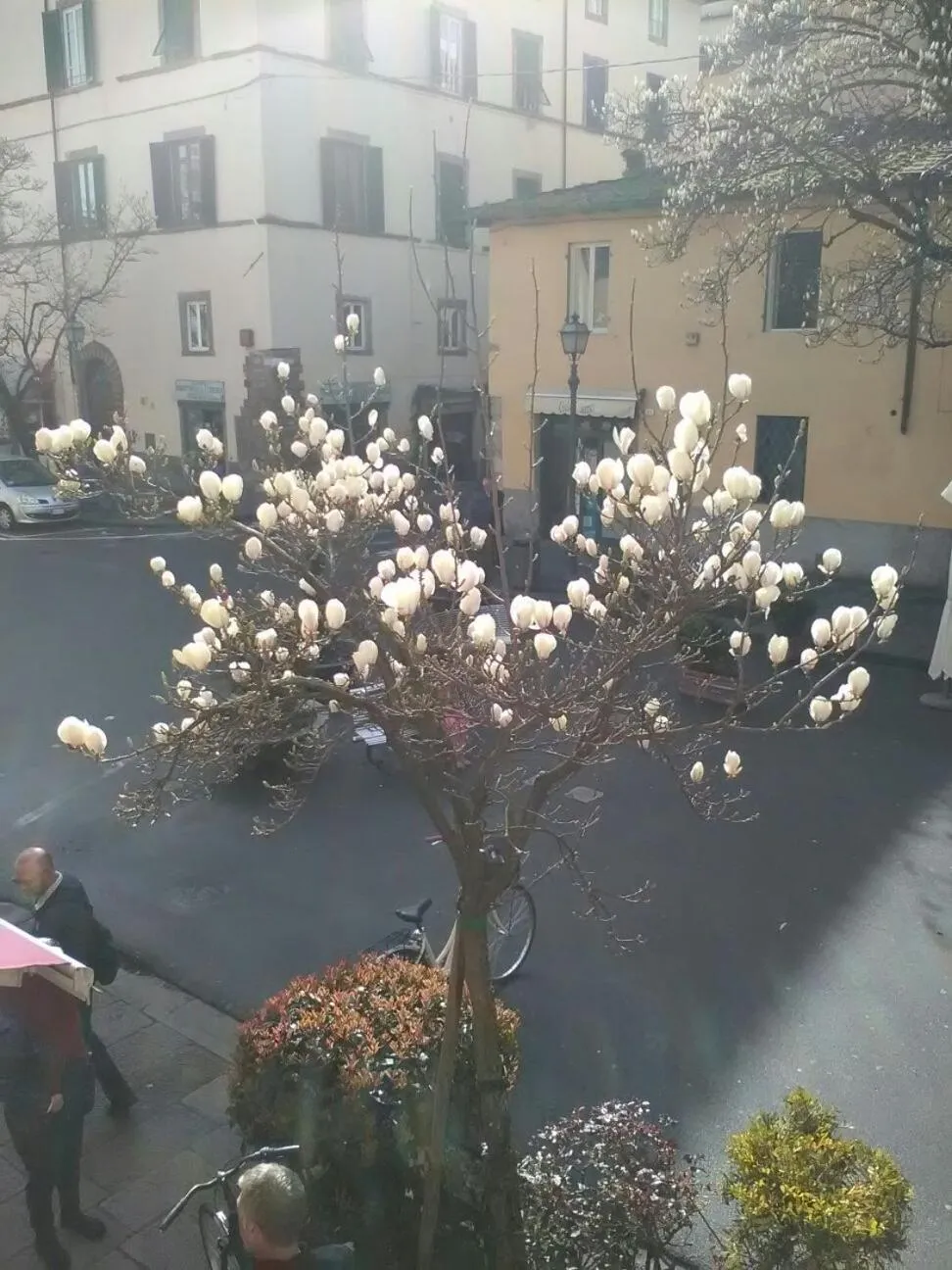 City view in Suite Sofia