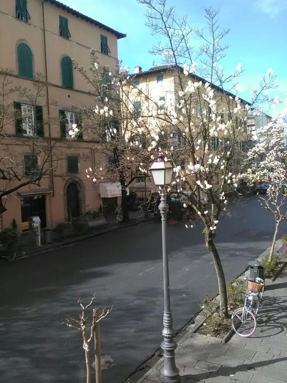 Property building in Suite Sofia