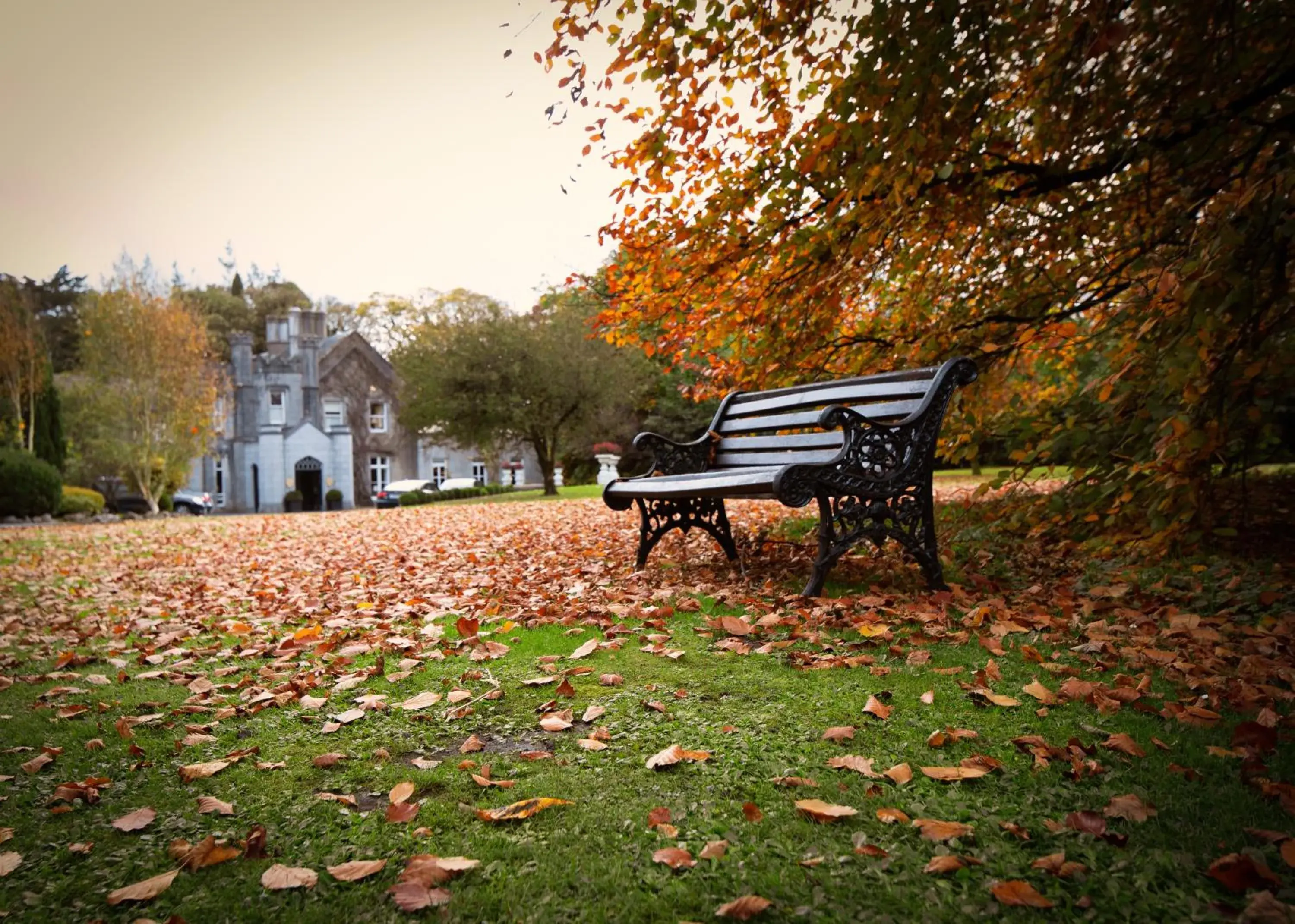 Facade/entrance in Abbey Hotel Roscommon Facade/entrance in Abbey Hotel Roscommon