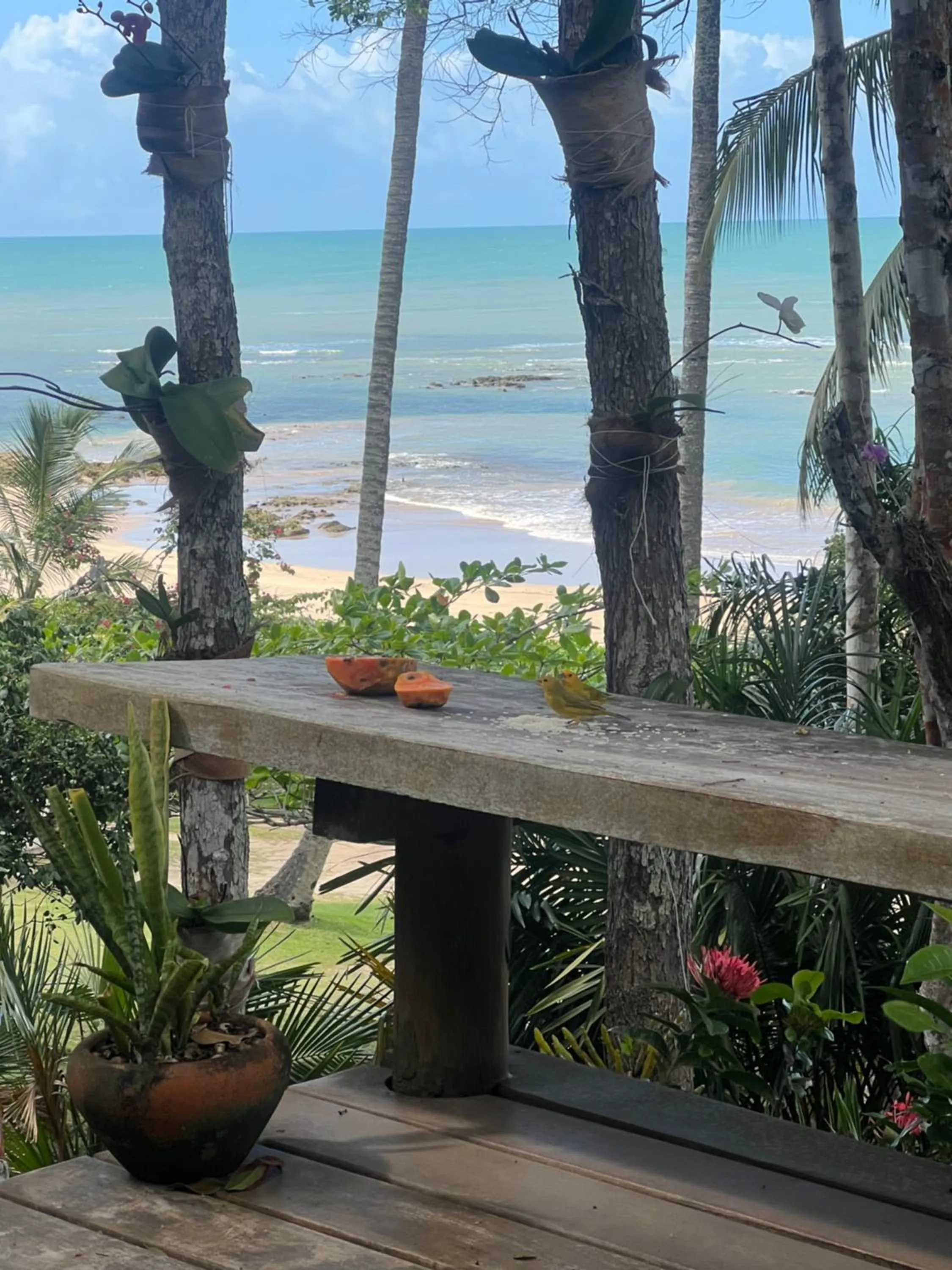 Balcony/Terrace in Charmoso bangalô balinês pé na areia Outeiro das Brisas
