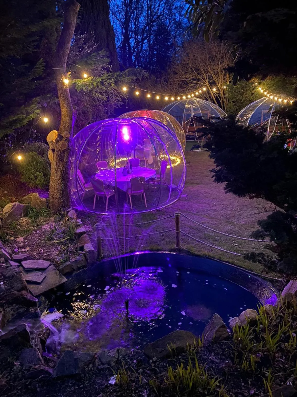 Restaurant/places to eat in The Casa Hotel, Sure Hotel Collection by Best Western