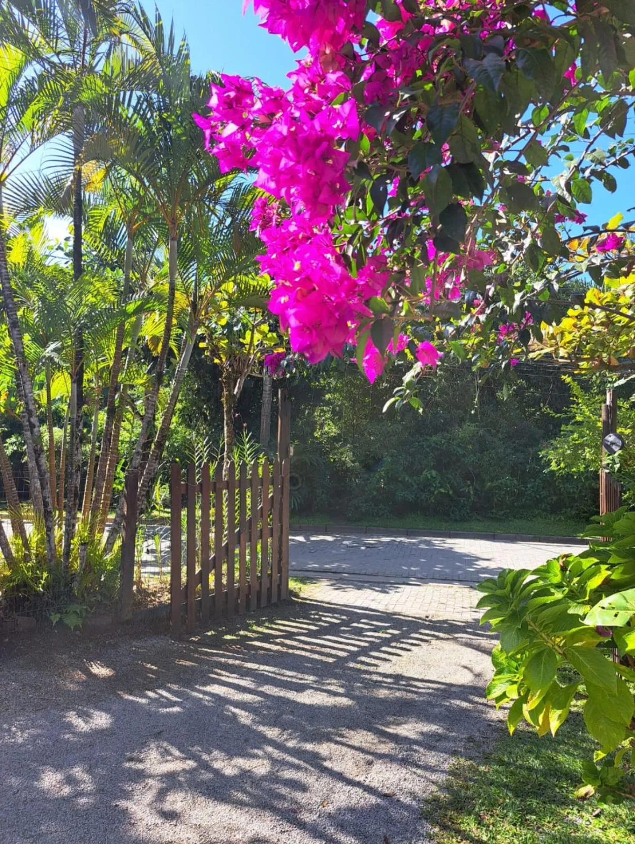 Pousada Praia da Baleia