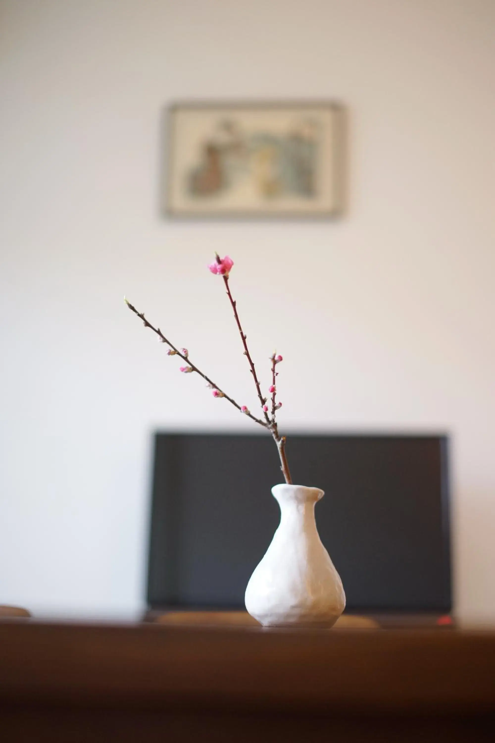 Decorative detail, TV/Entertainment Center in Aya inn Karasuma gojo