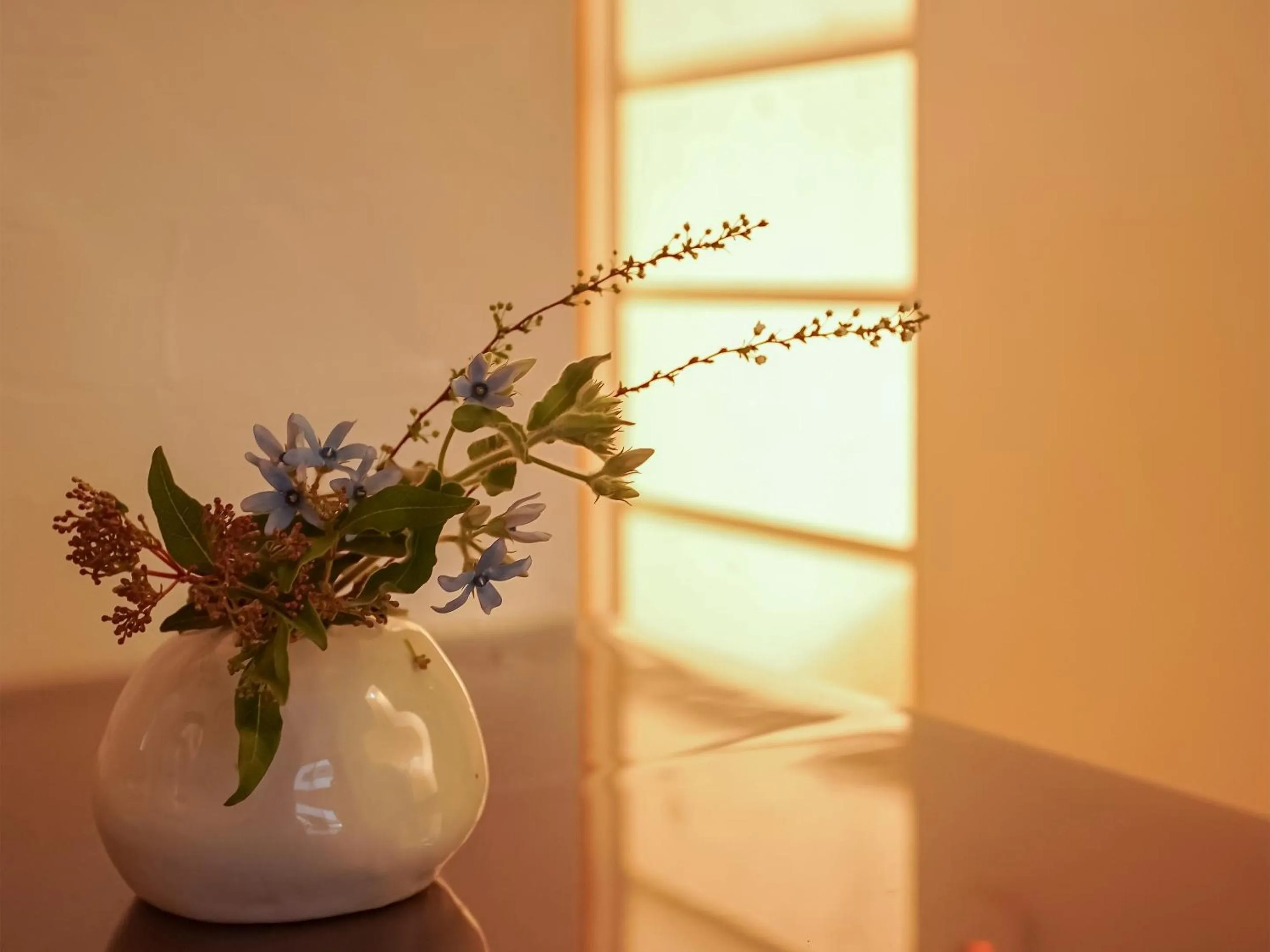 Area and facilities in Aya inn Karasuma gojo