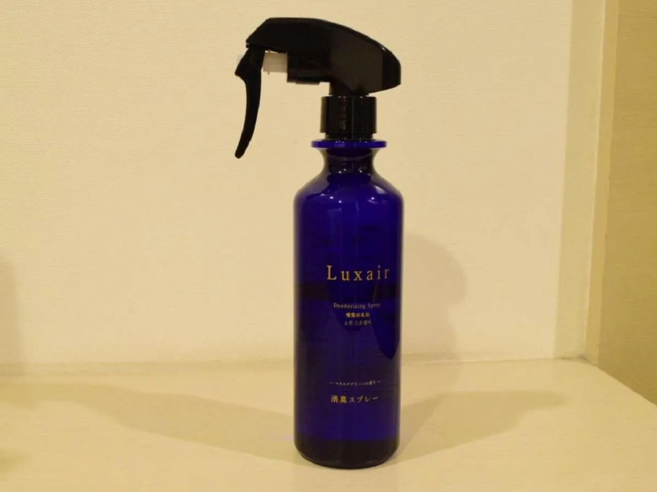 Photo of the whole room in X wave Funabashi