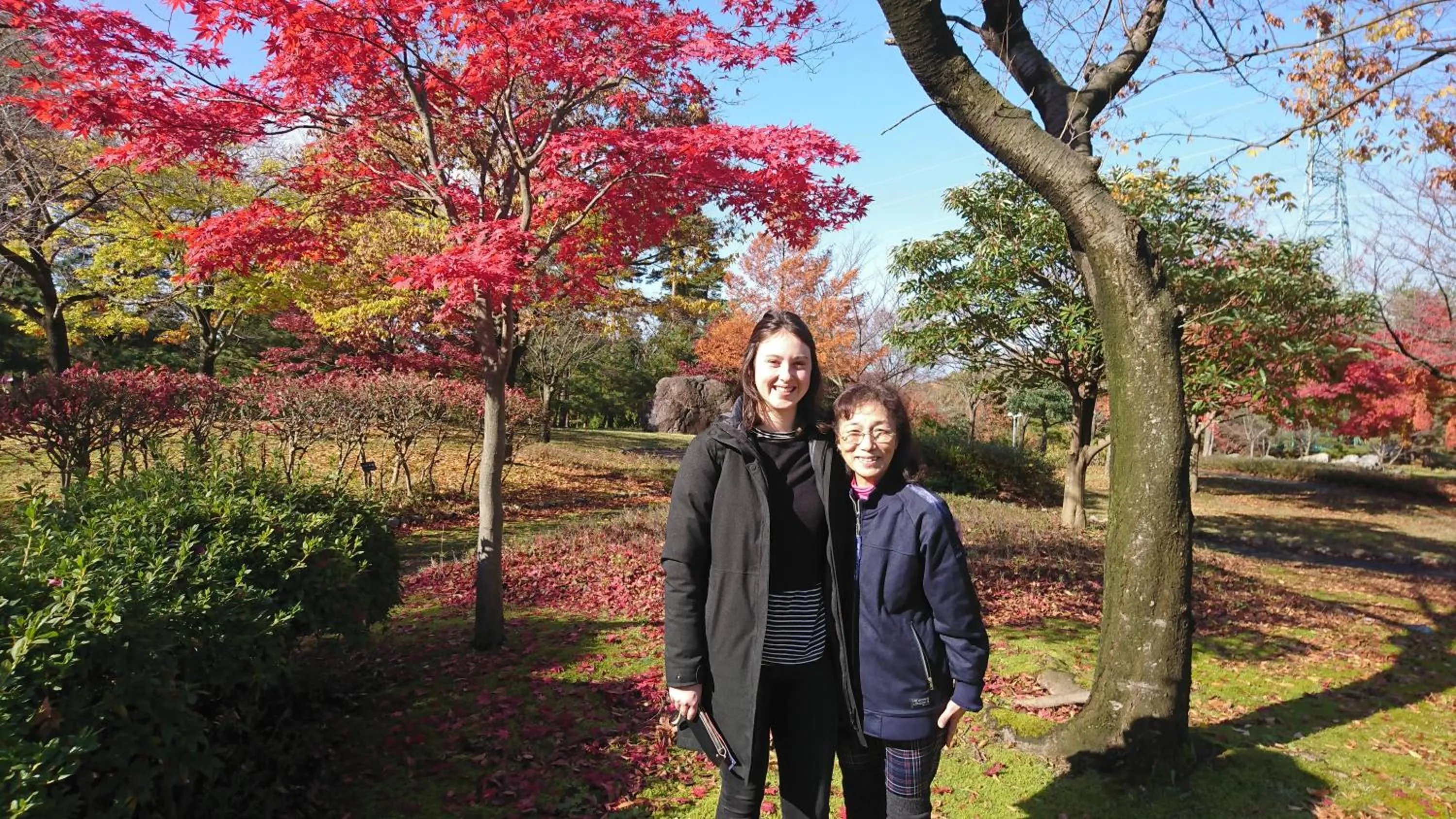 Live Cafe Hisui no Umi