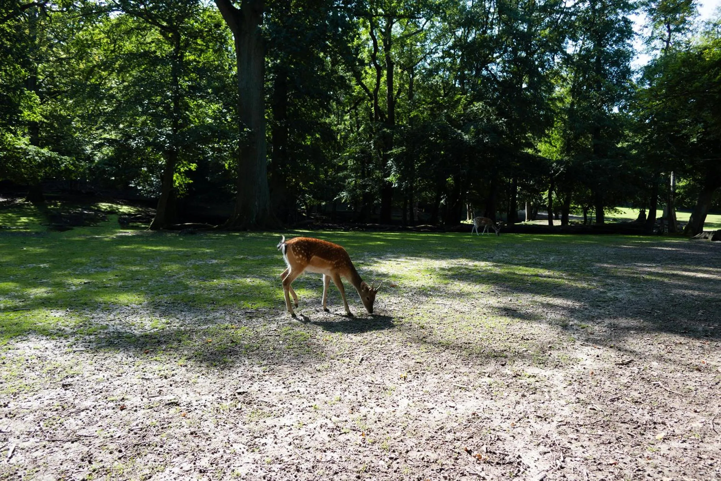Neighbourhood in Helnan Marselis Hotel