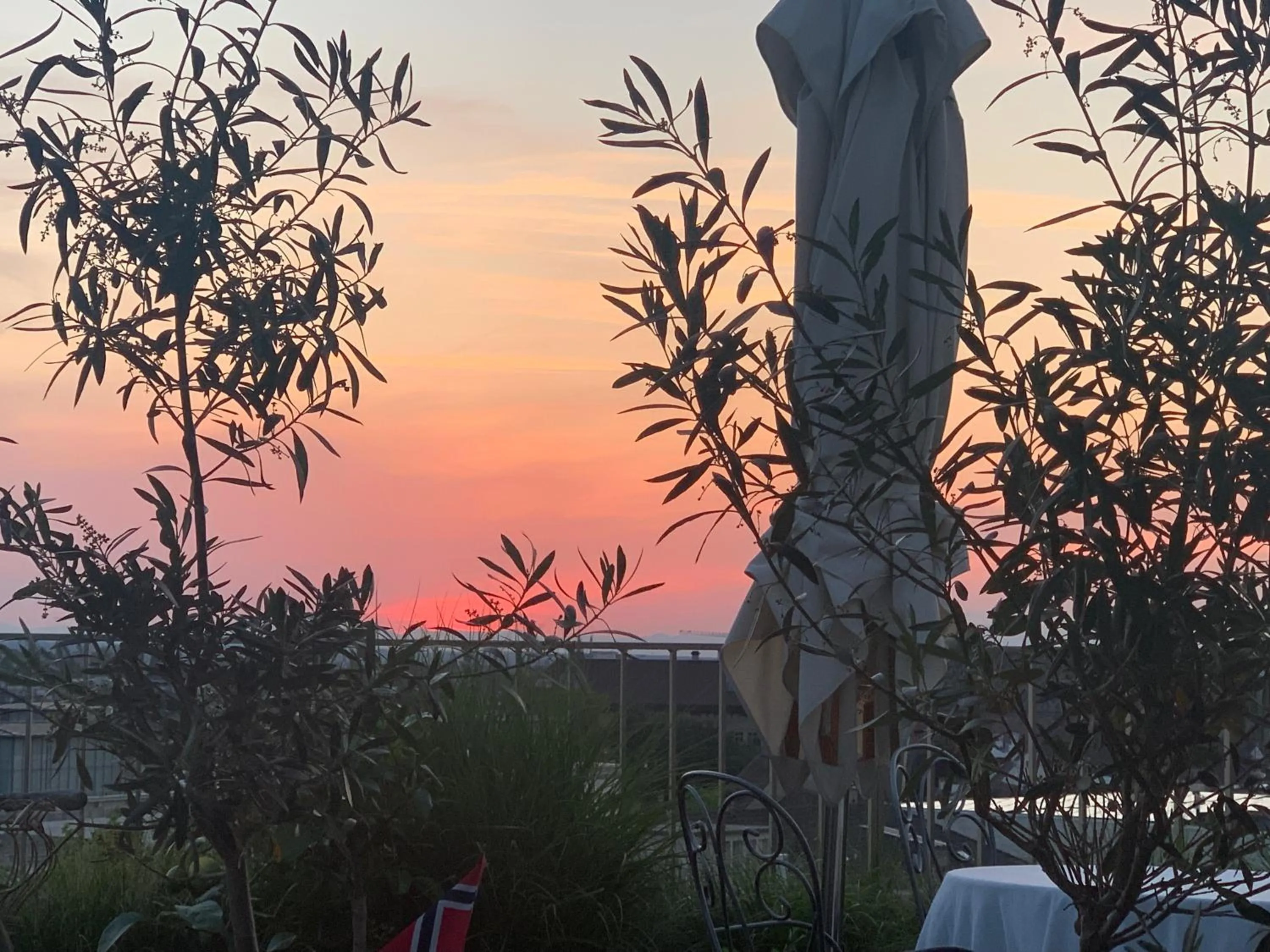 Sunset in AVLiving City INSIDE NINE Basel