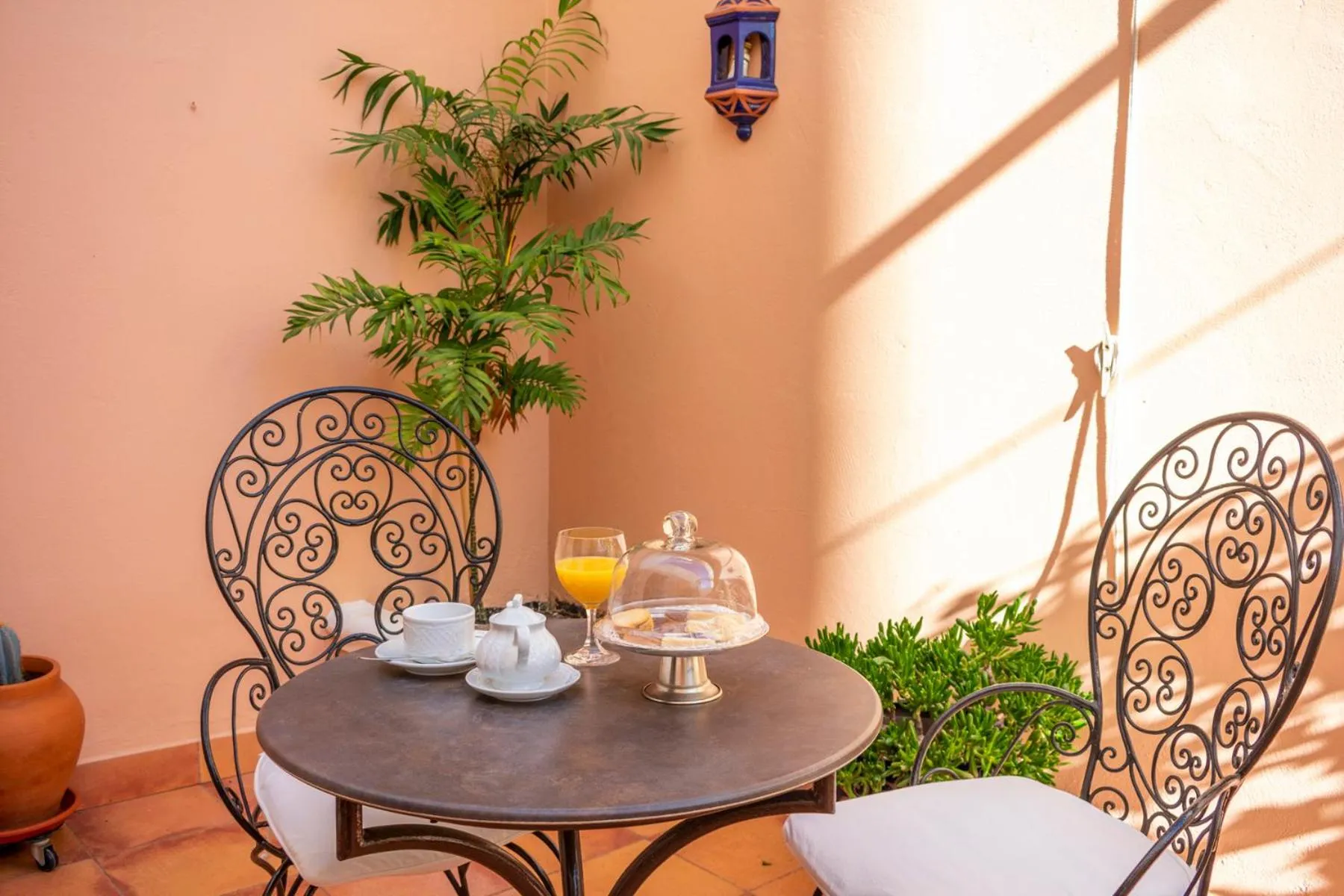 Garden view in Hotel Veracruz