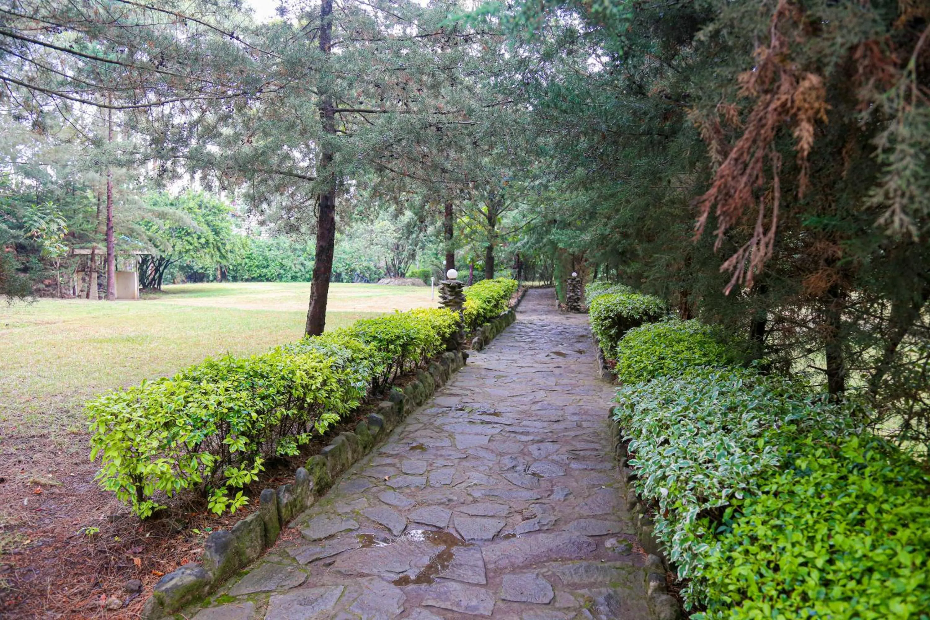 Natural landscape in Naivasha Peppercorn Holiday Resort