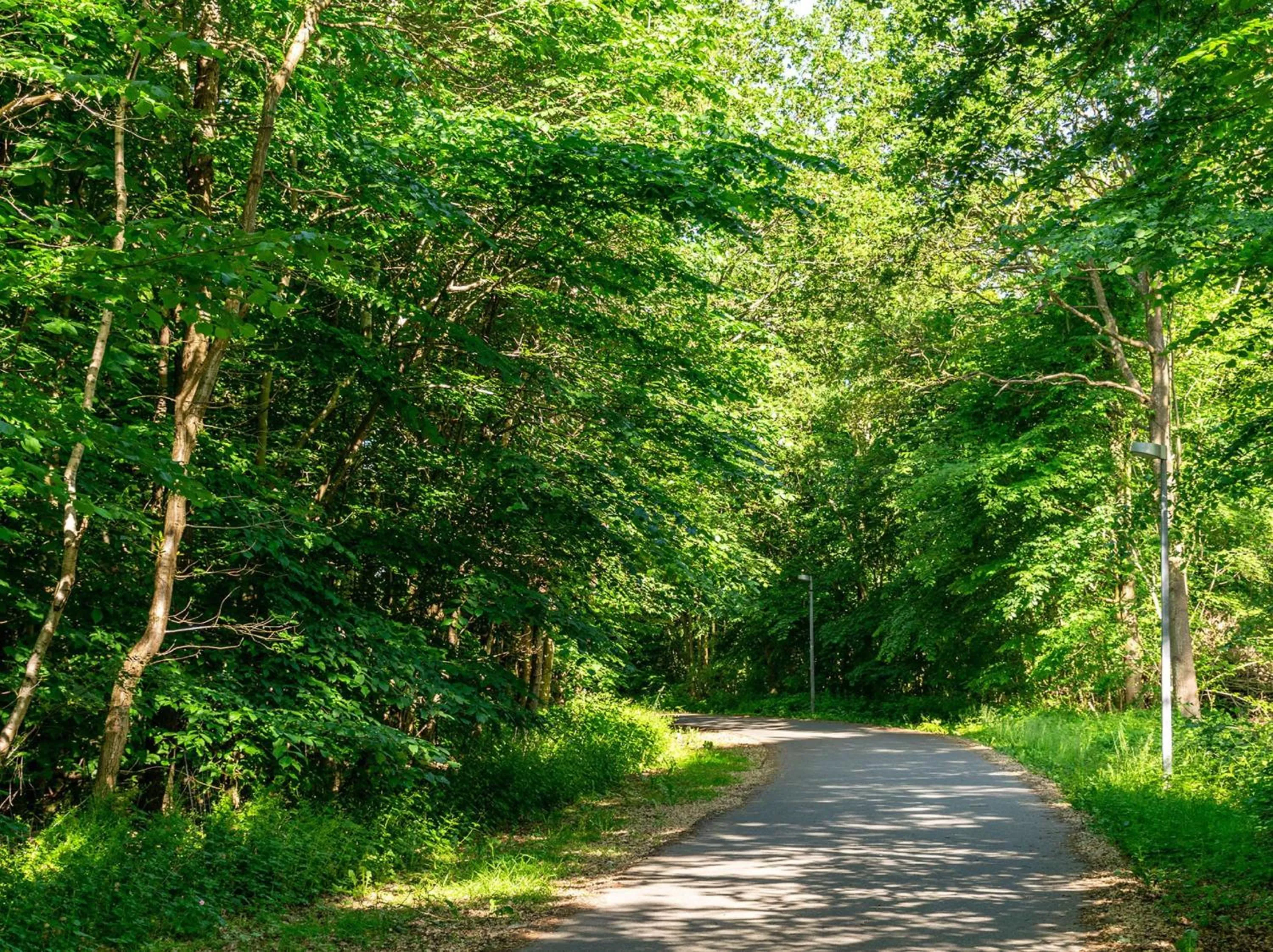 Sports in Best Western Plus Hotel Odense