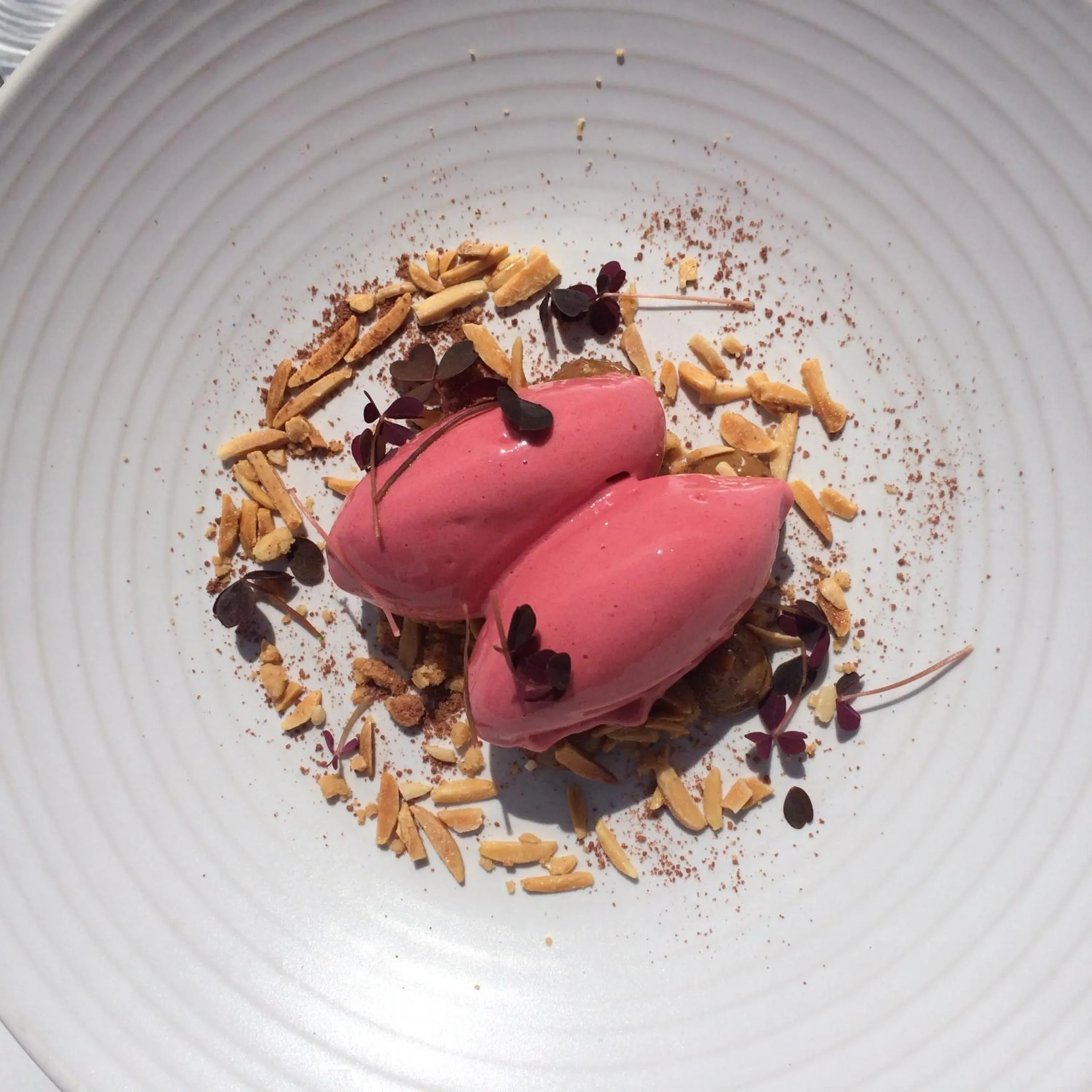 Food and drinks in Hotel Dania