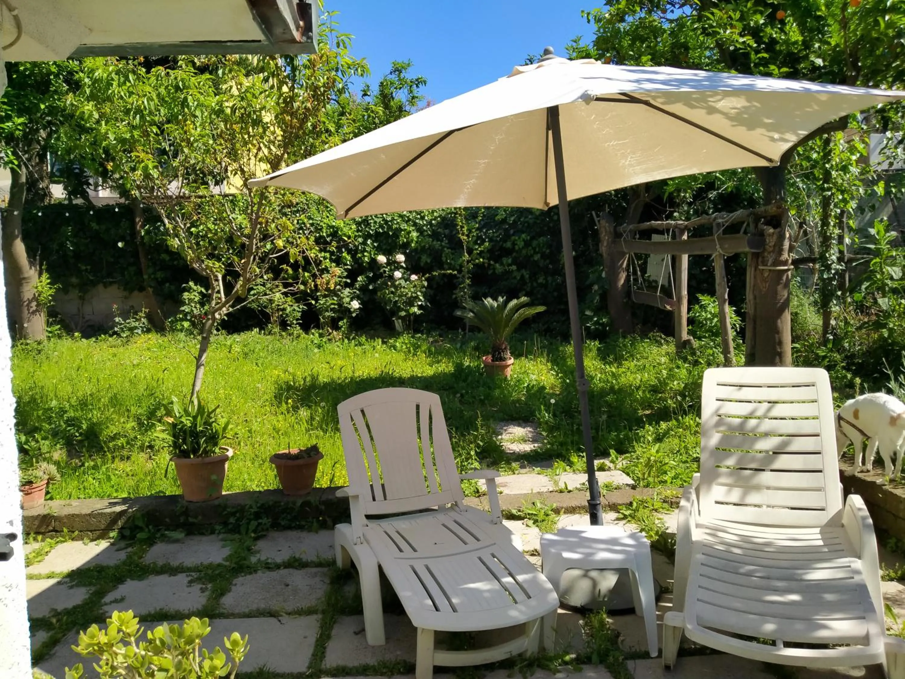 Garden in Villino L'Aranceto Sorrentino