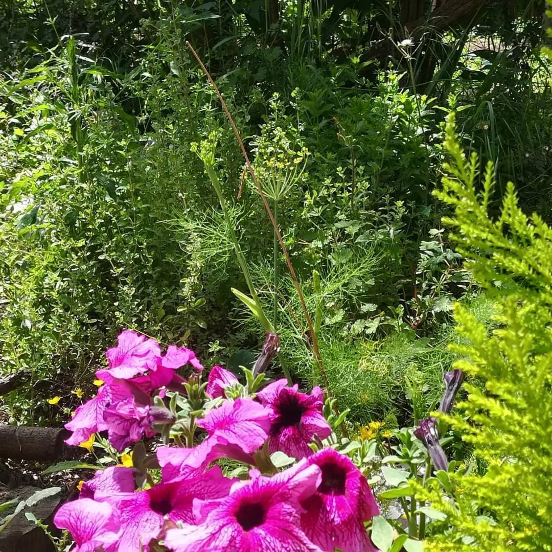 Villino L'Aranceto Sorrentino