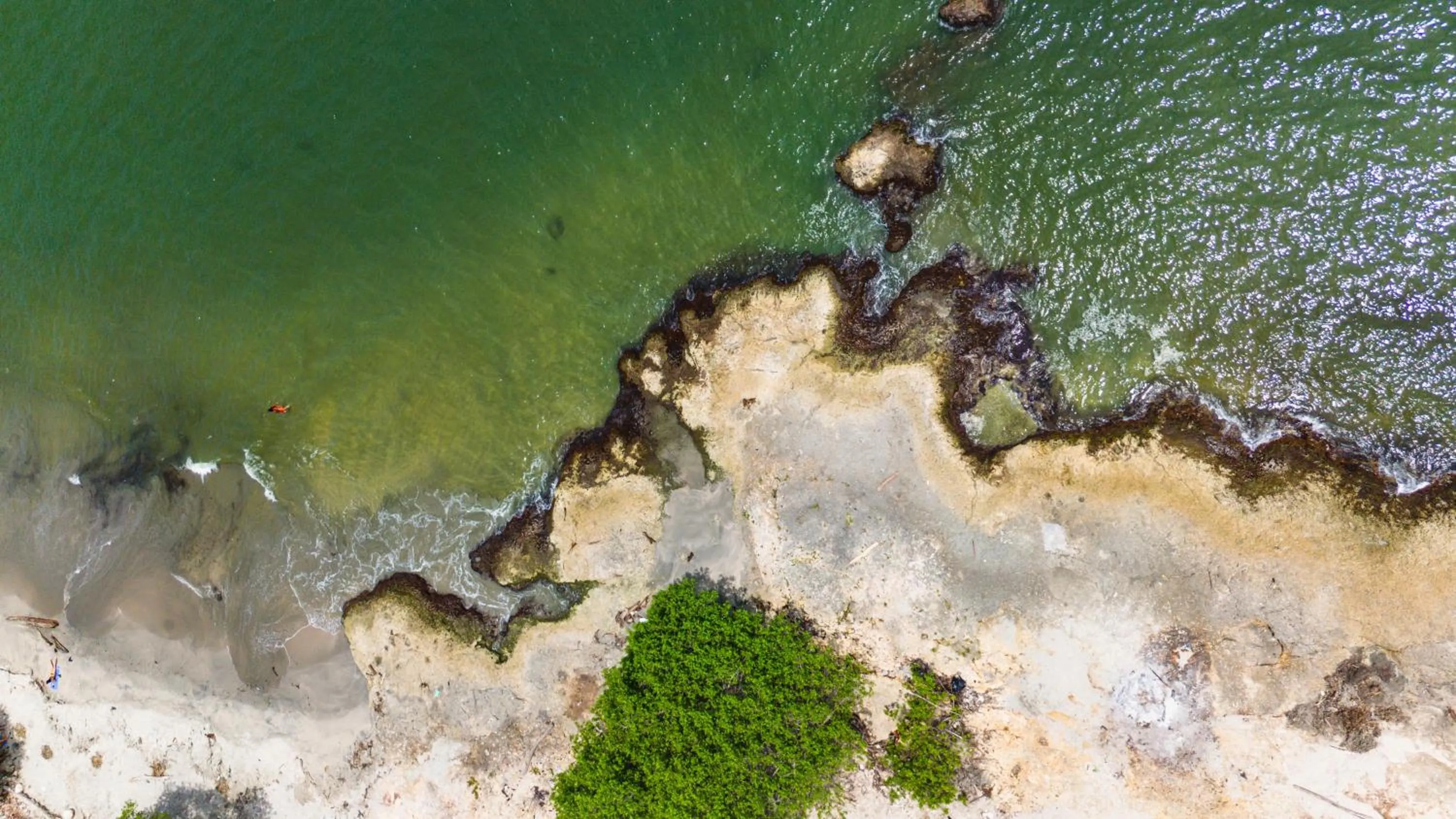 Beach in Hotel Isla Real
