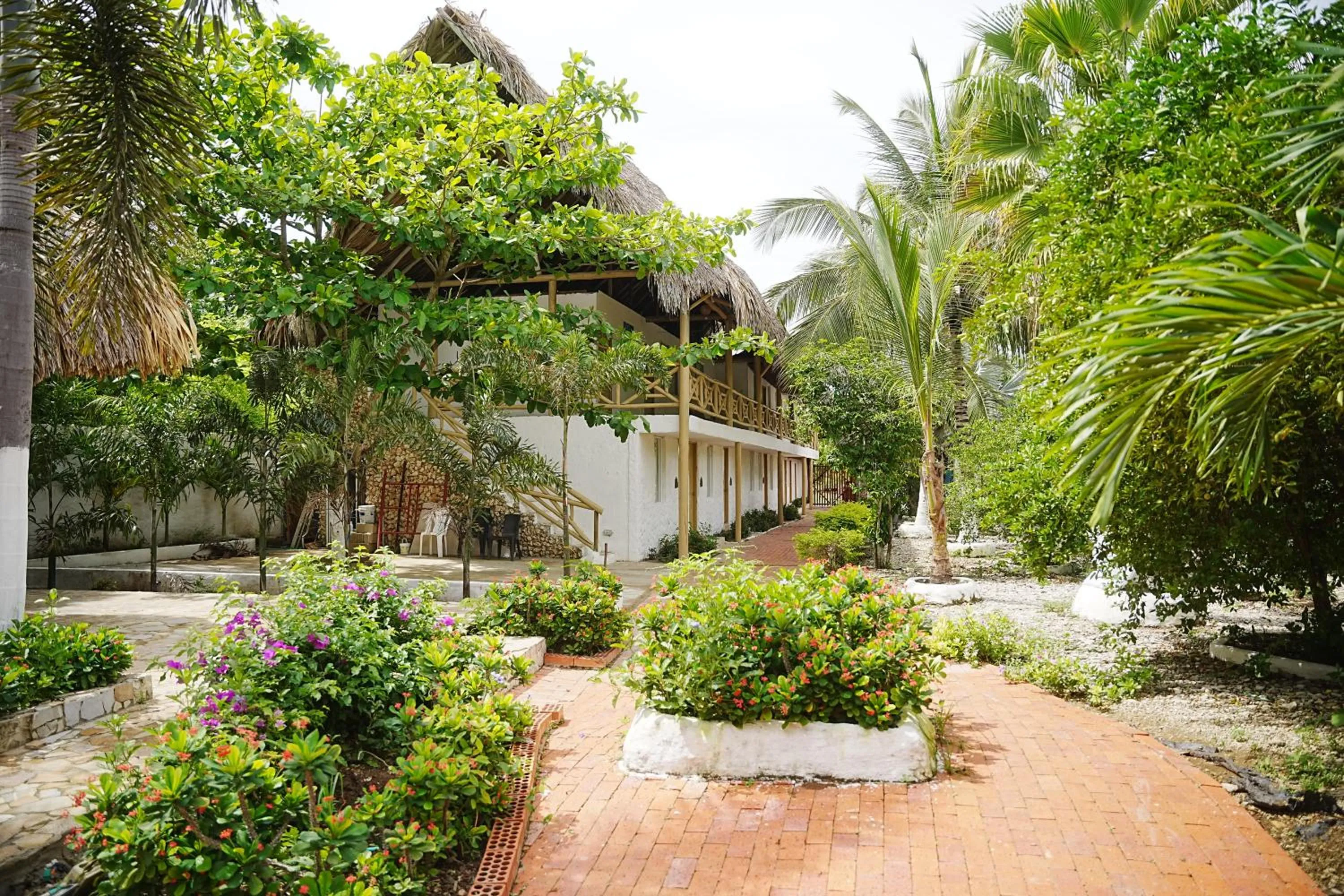 Garden in Hotel Isla Real