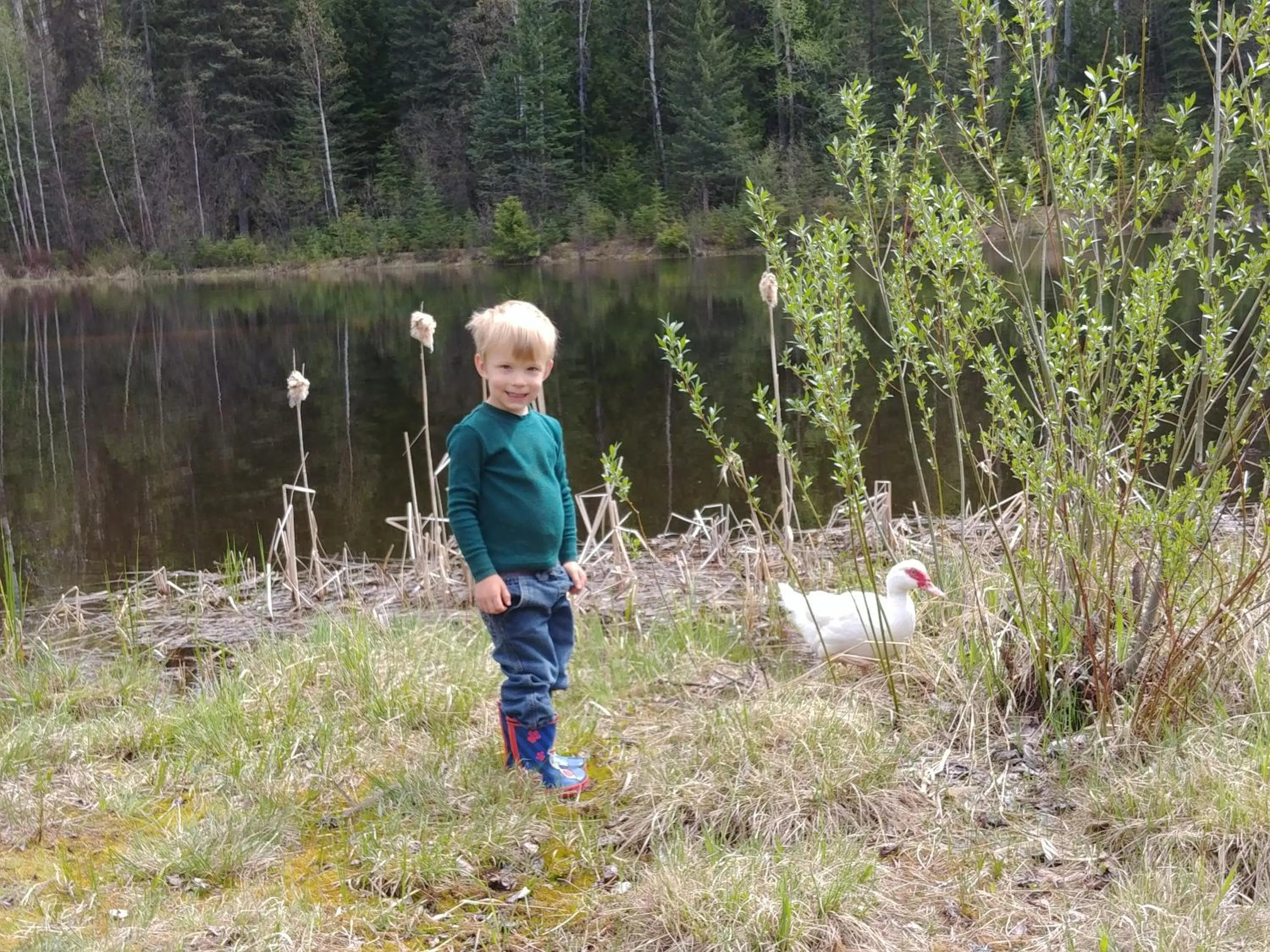 Natural landscape in Wolfwood Guest Ranch