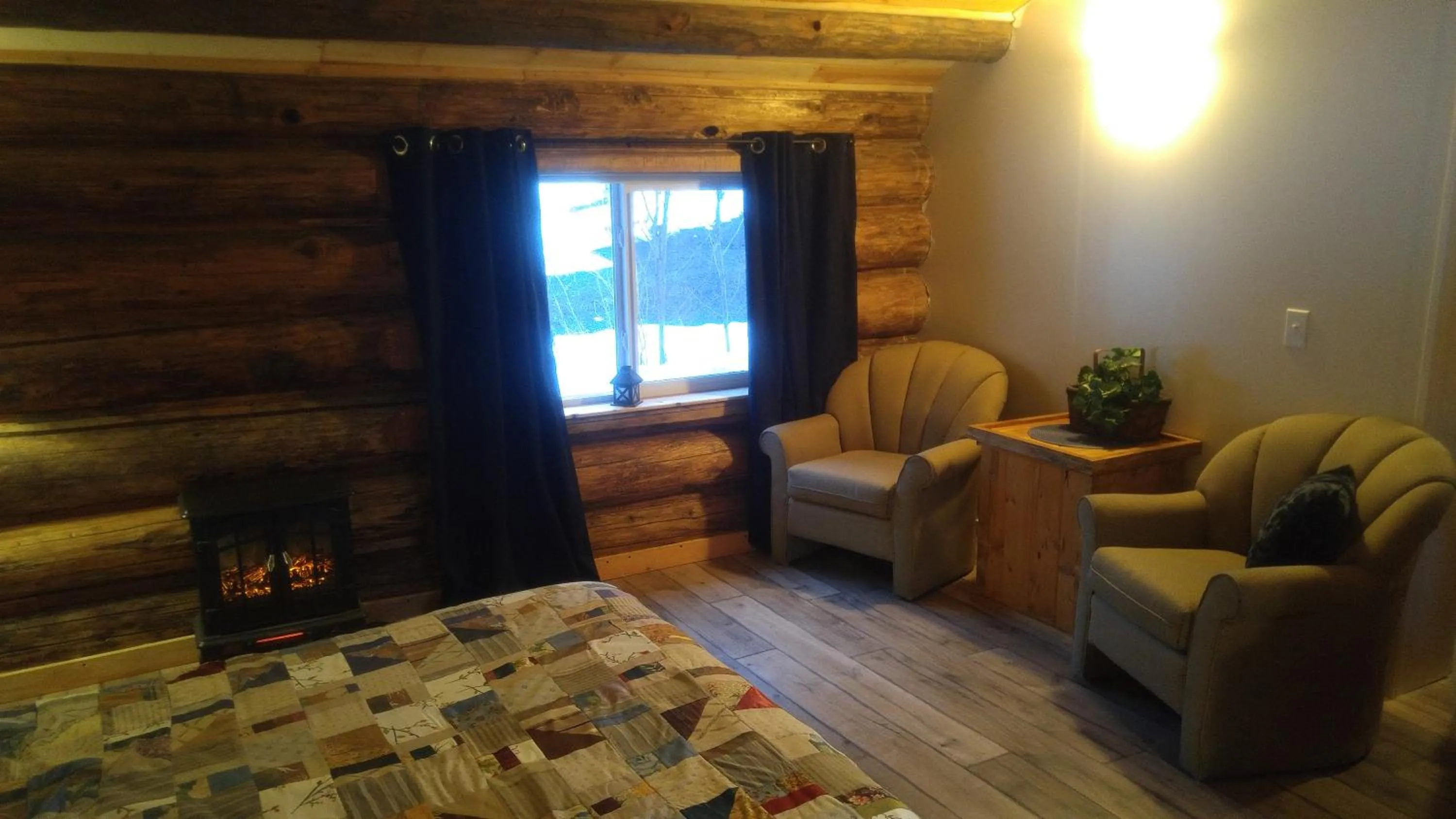 Photo of the whole room in Wolfwood Guest Ranch