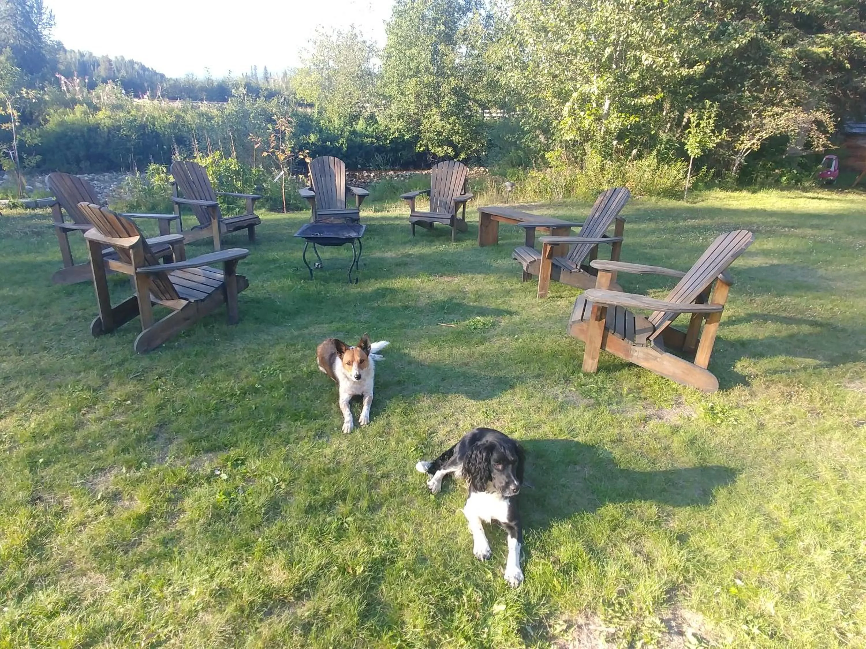 Natural landscape in Wolfwood Guest Ranch