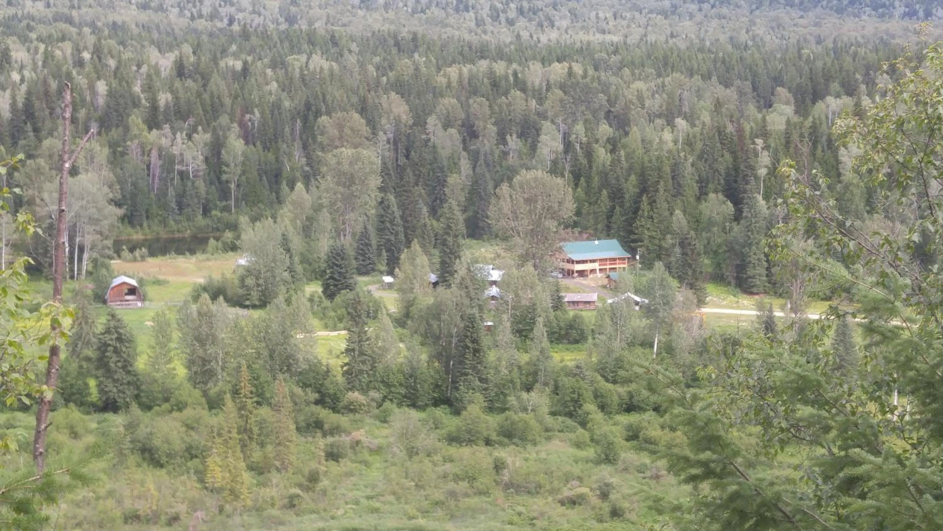 Bird's eye view in Wolfwood Guest Ranch