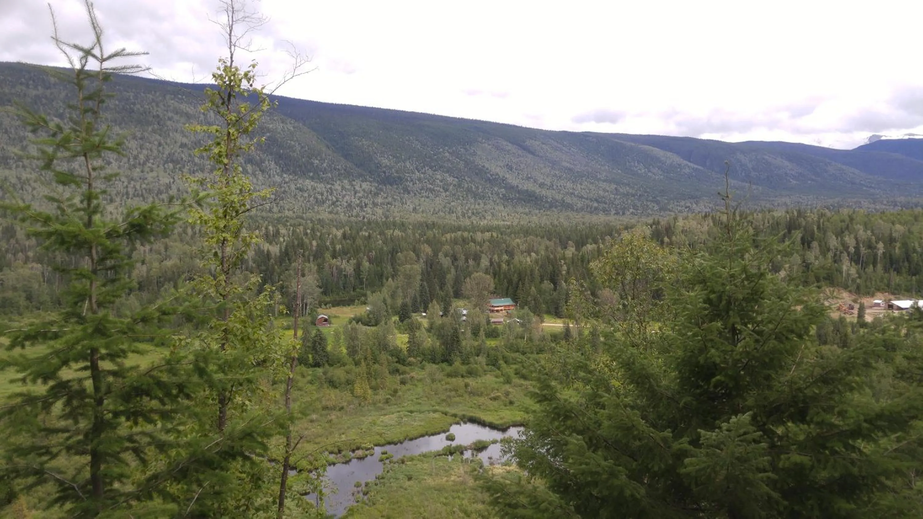 Bird's eye view in Wolfwood Guest Ranch