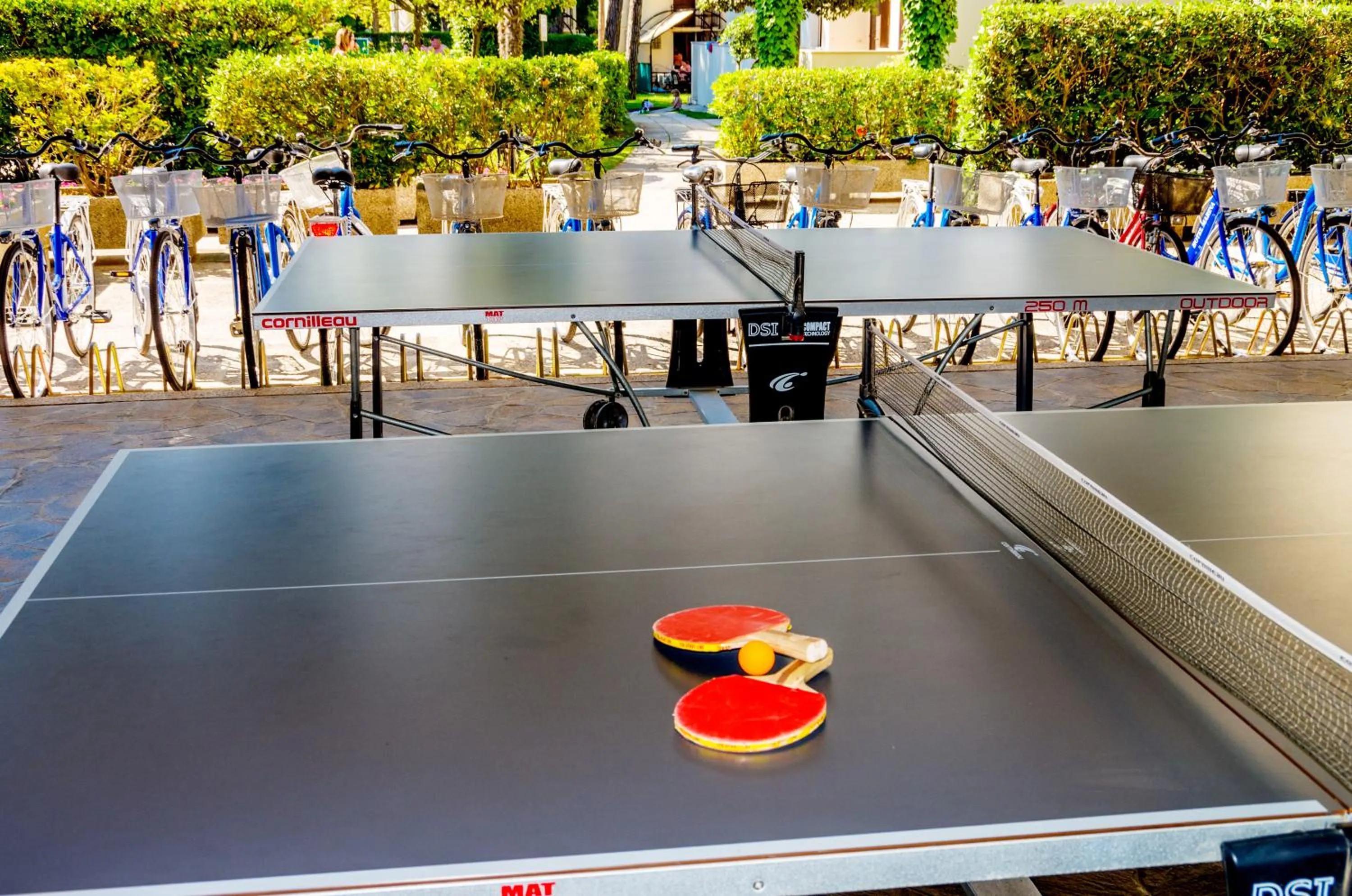 Table tennis in Villa Delfa