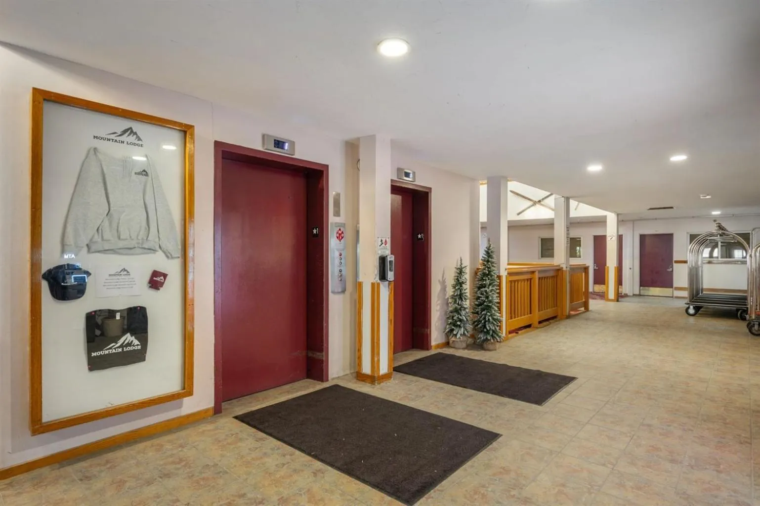 Snowshoe Ski-InSki-Out Steps to Ballhooter Lift Mountain Lodge Condo