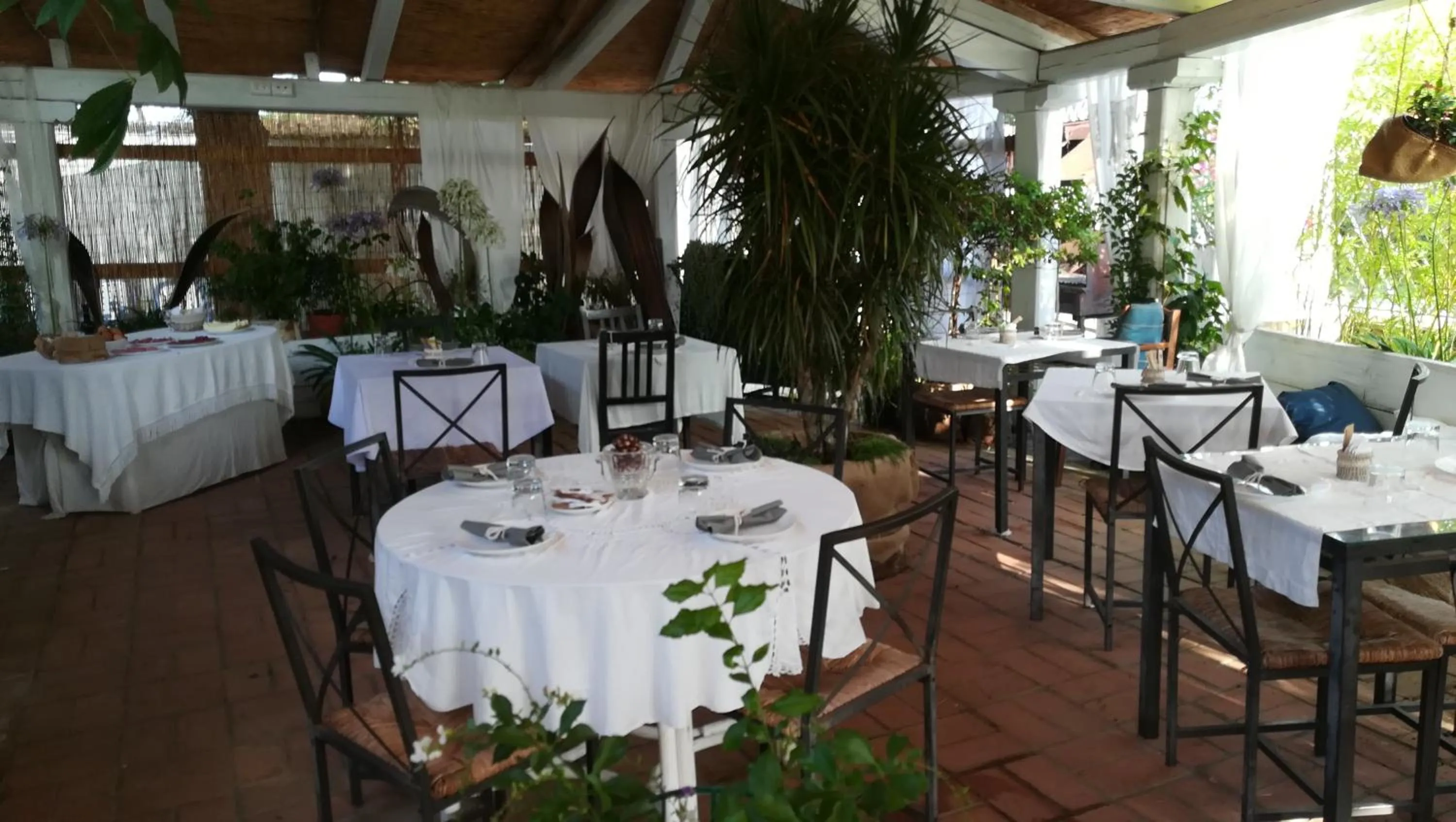 Italian breakfast in Baia D'Oro