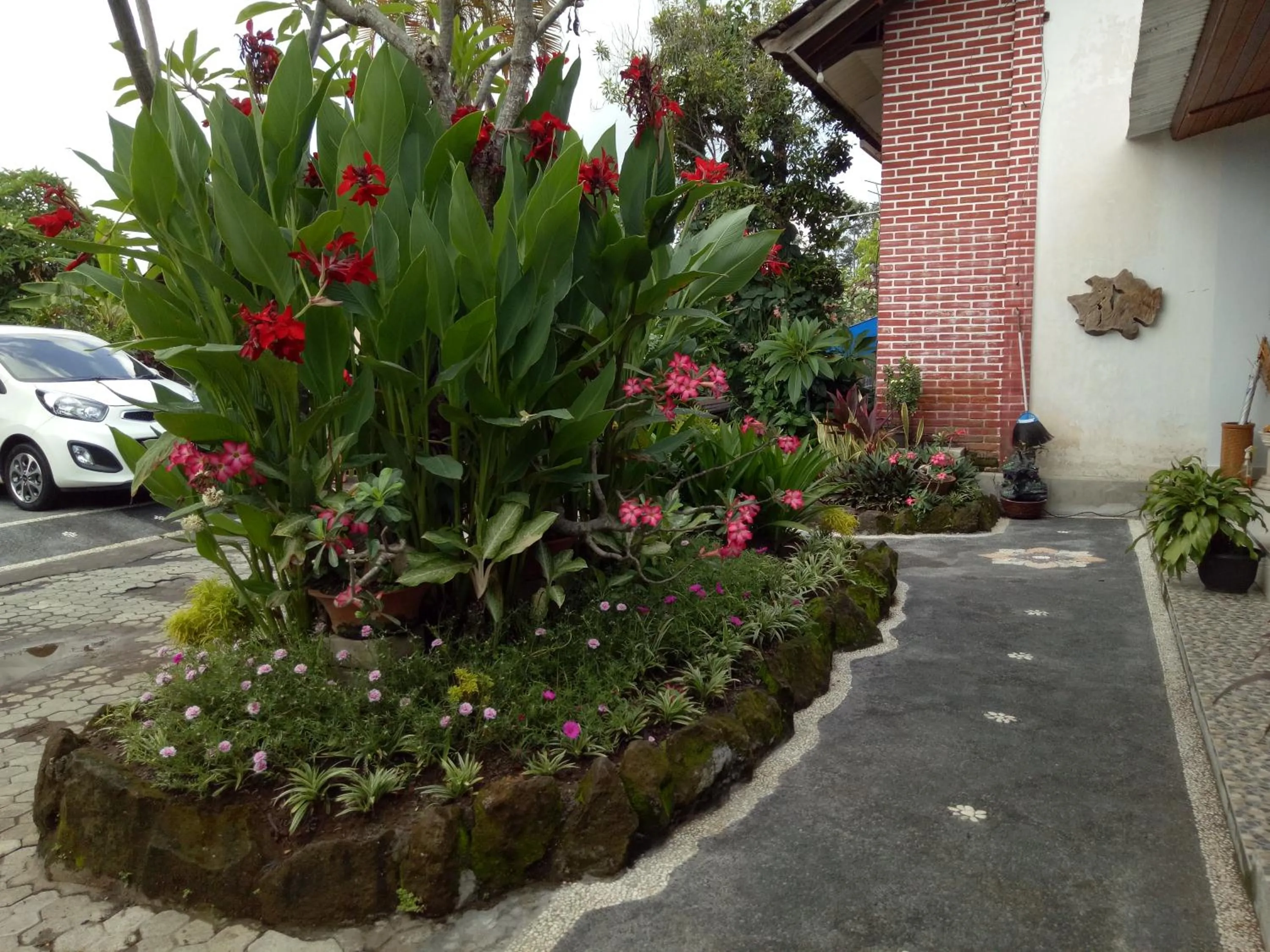 Garden in Geriya House