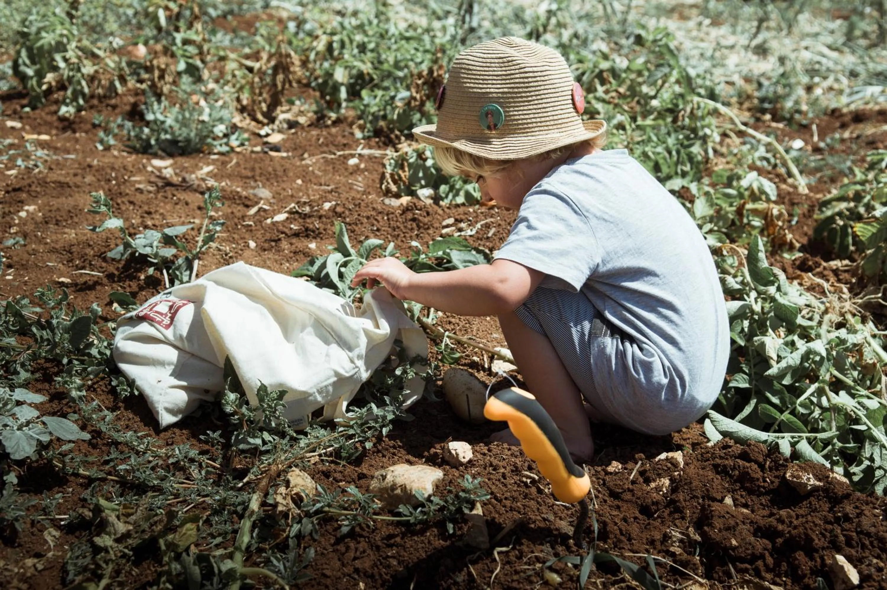 Activities in Beit Al Baraka
