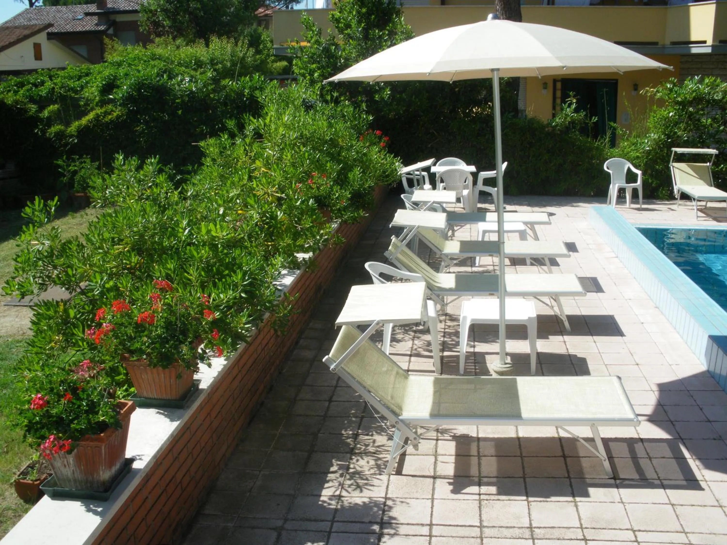 Swimming pool in Hotel Ascot