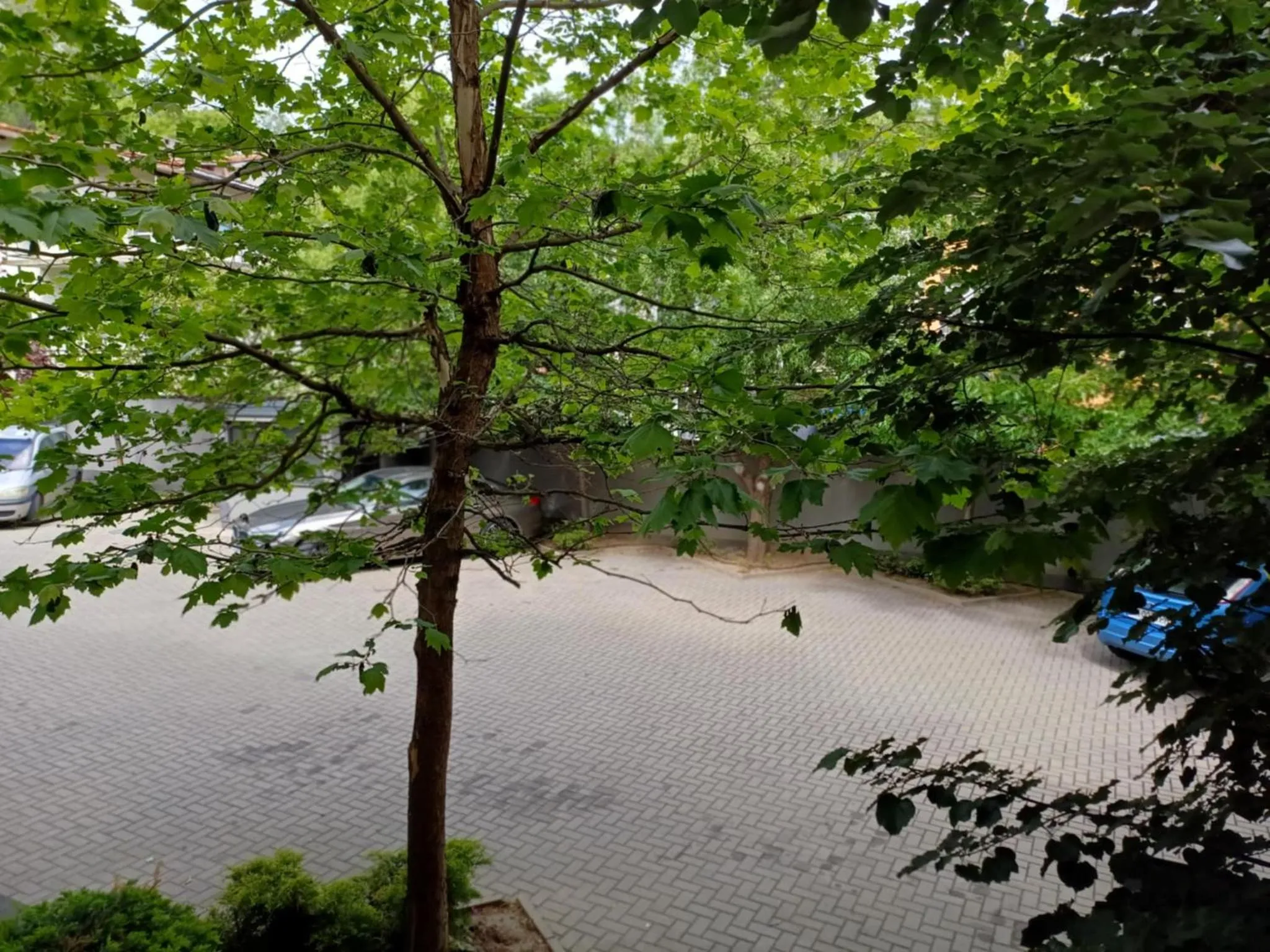 Parking in All Seasons Residence Design Hotel - Free parking